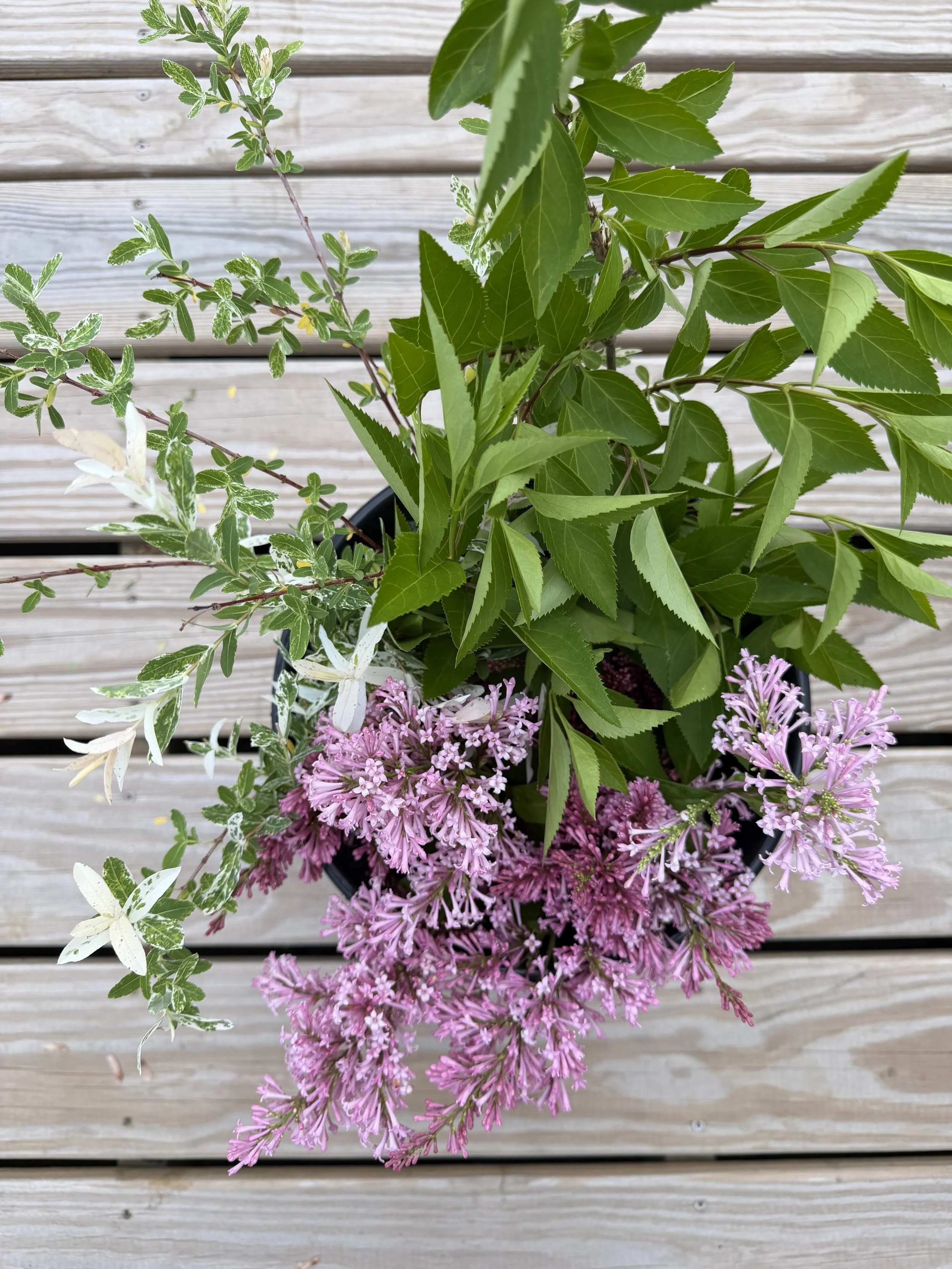 Bulk Floral Bucket