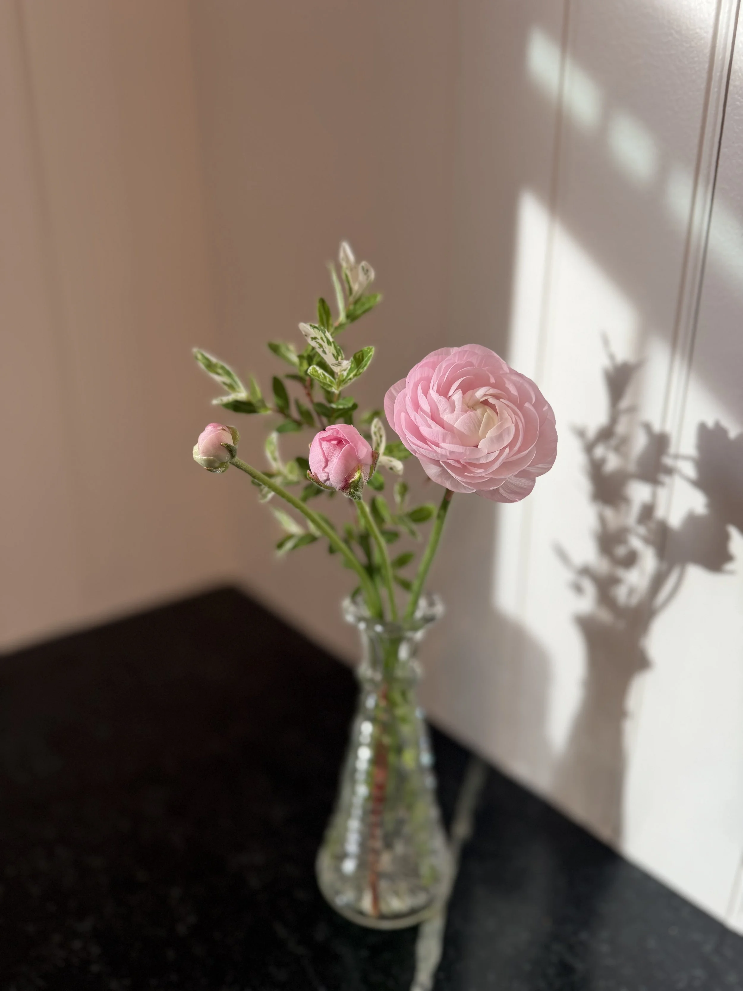 IMG_9377.jpeg