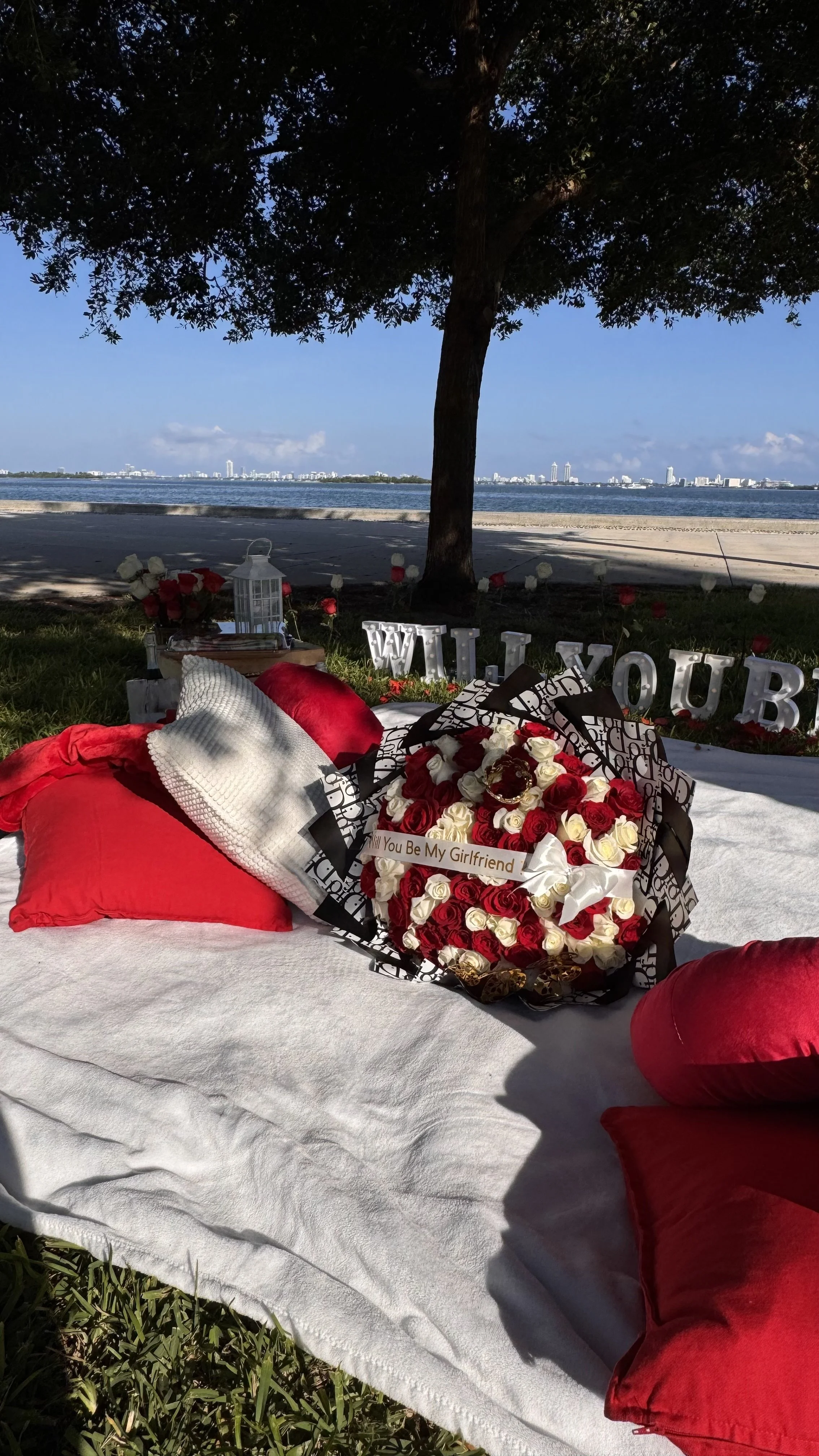 Romantic picnic setup near a body of water with a bouquet of red and white roses, pillows, and decorative letters spelling "WILL YOU BE MY GIRLFRIEND."