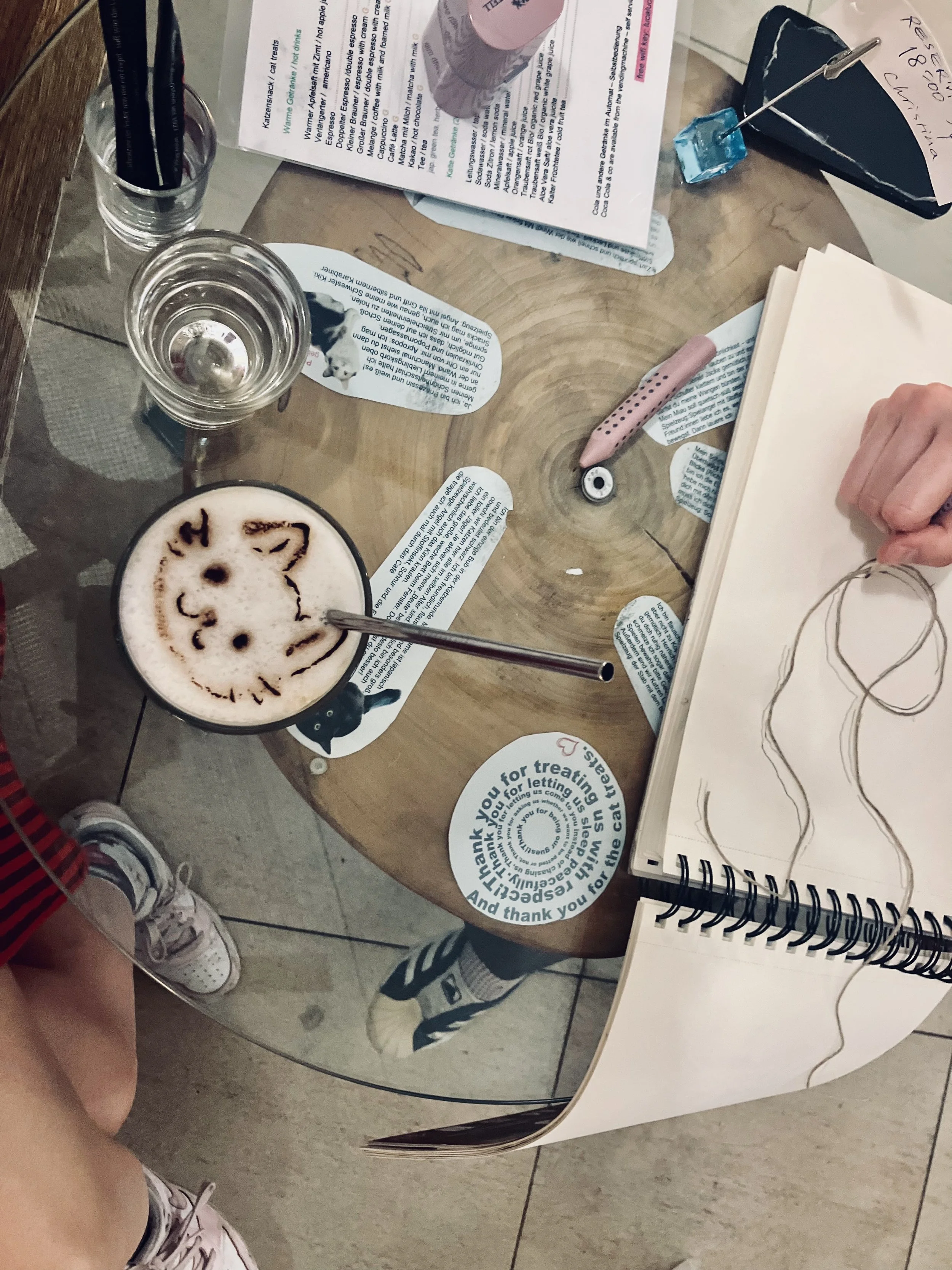 Katzen live zeichnen