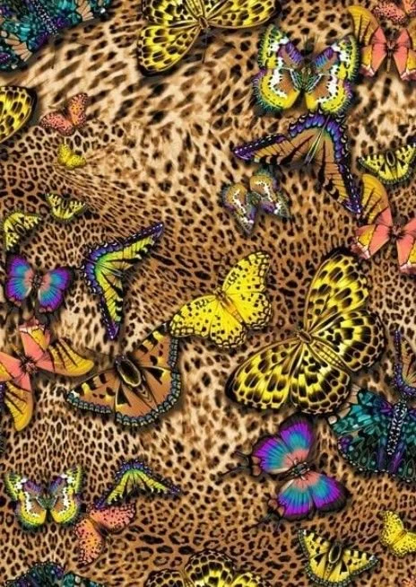 Colorful butterflies resting on a leopard print background.
