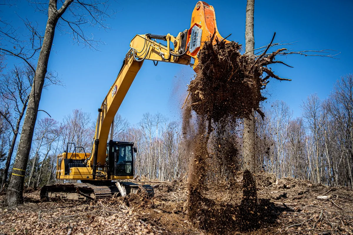 A yellow excavator tearing down a tree in a forest, with dust and dirt falling to the ground, and leafless trees in the background under a clear blue sky.