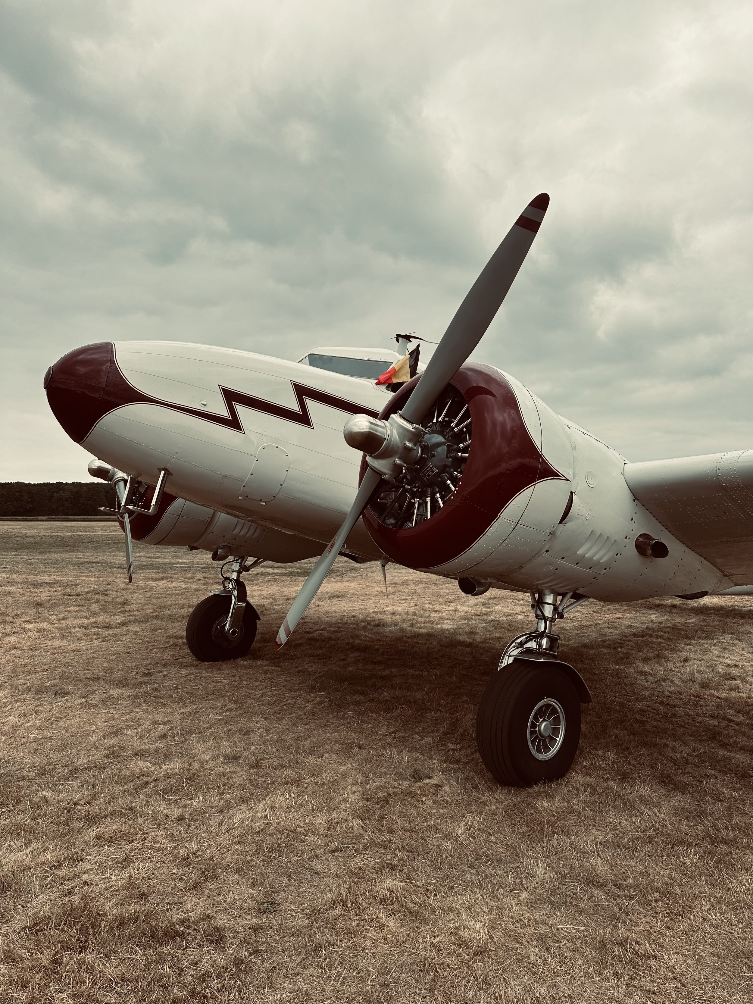 A vintage propeller airplane parked on a grassy field under a cloudy sky.