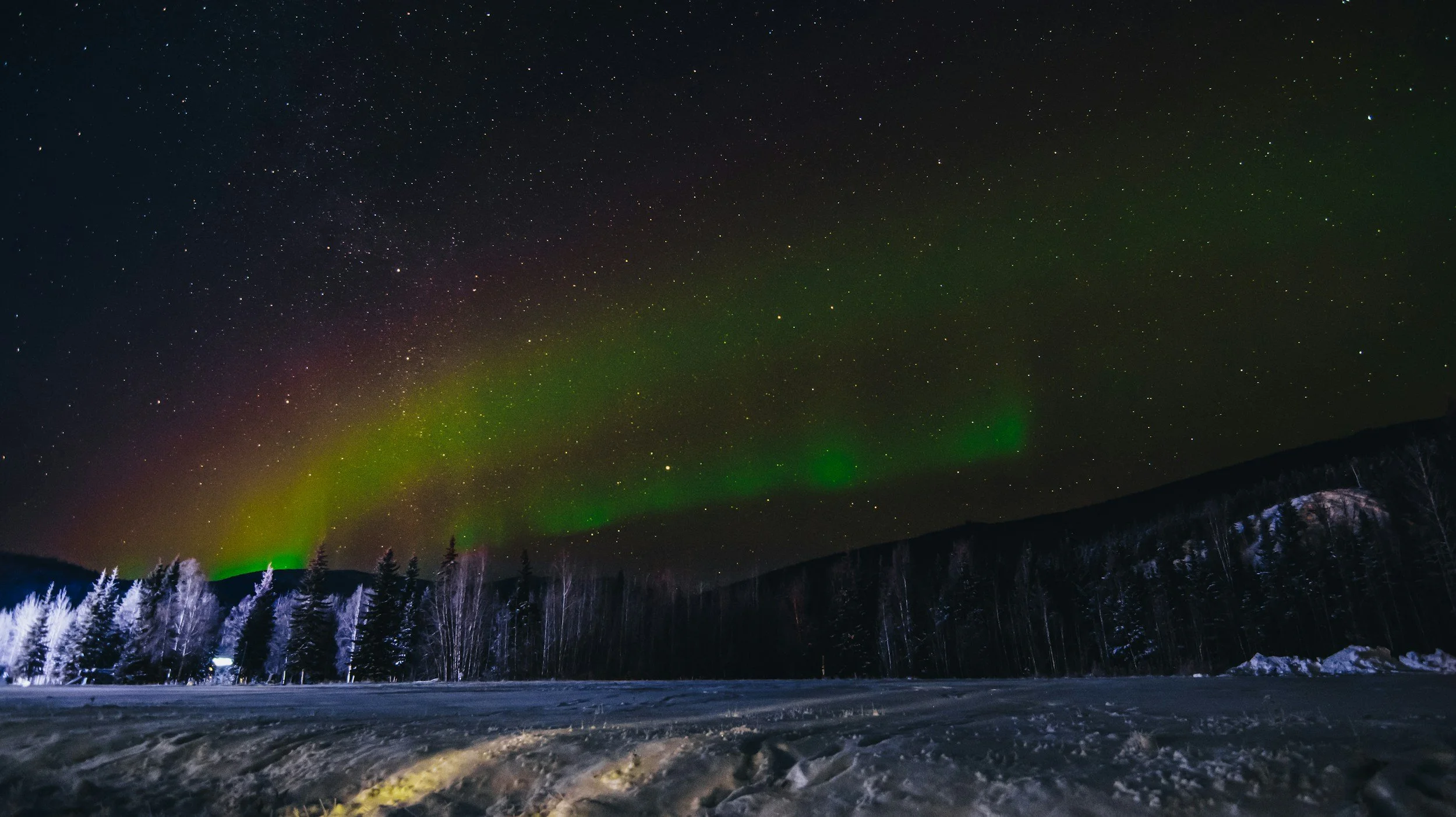 Nighttime snowy landscape with forest and visible northern lights and stars in the sky.