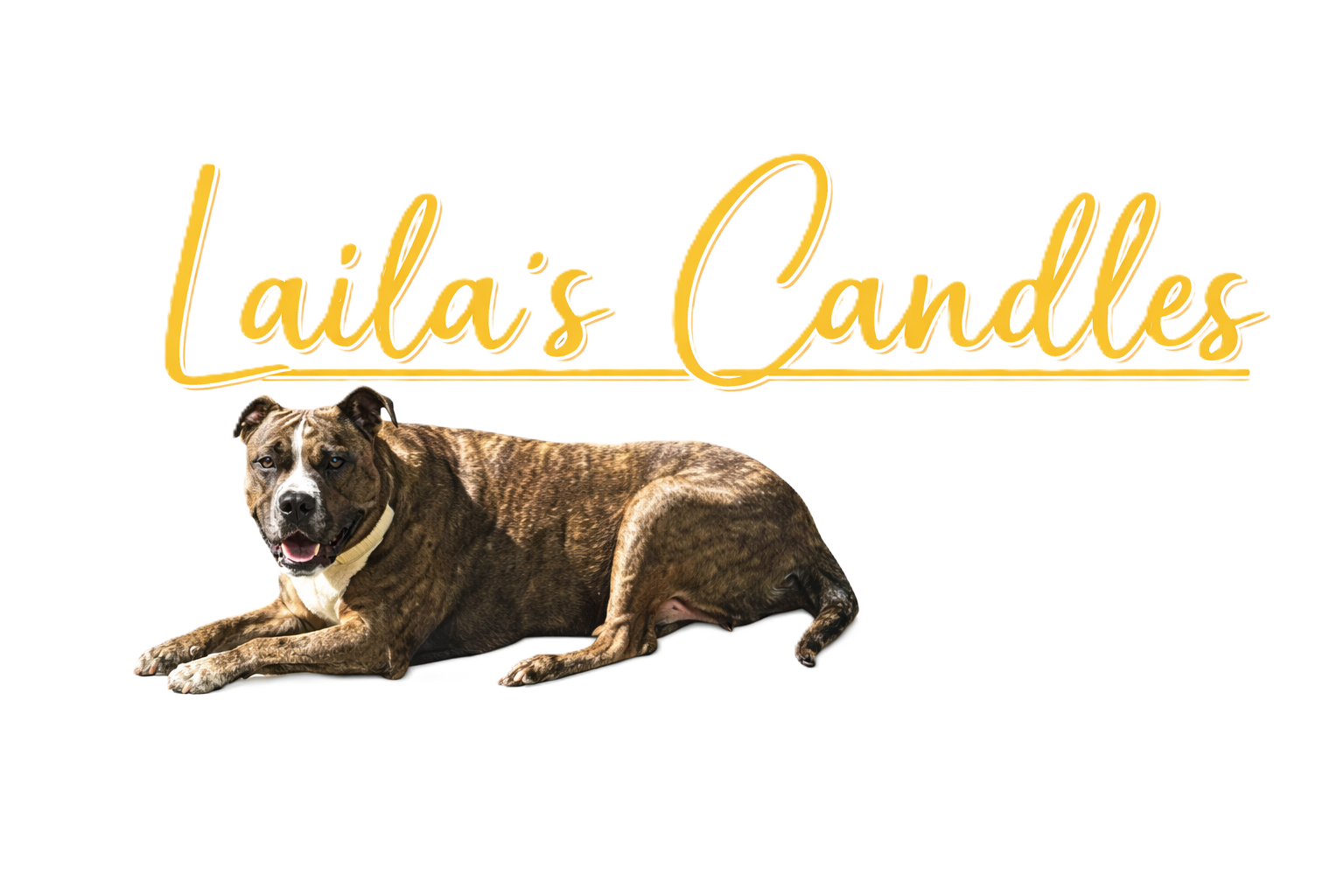 A dog lying down in front of a sign that says "Laila's Candles" in gold cursive font with yellow and green lines underneath.
