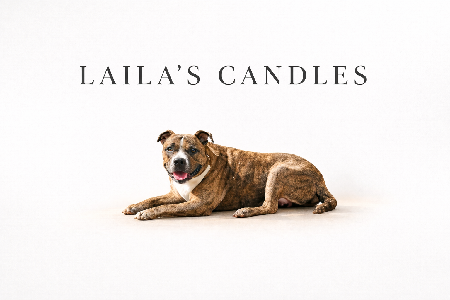 A smiling brindle and white dog lying down on a white background with the text 'Laila's Candles' above it.