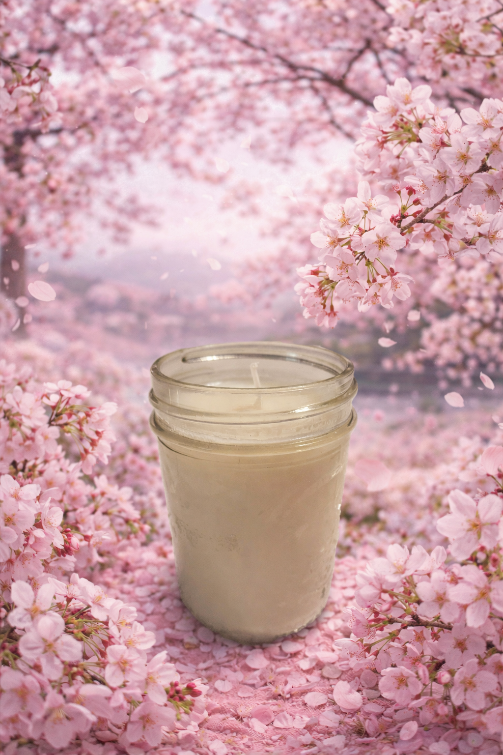 Japanese Cherry Blossom Soy Candle (2 candles)
