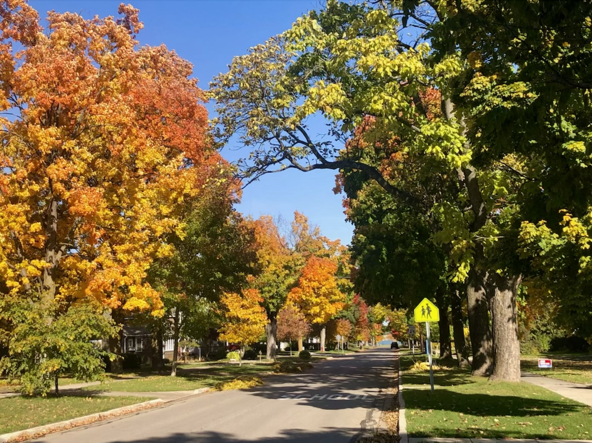 Screenshot 2025-08-03 at 3.51.41 PM.png