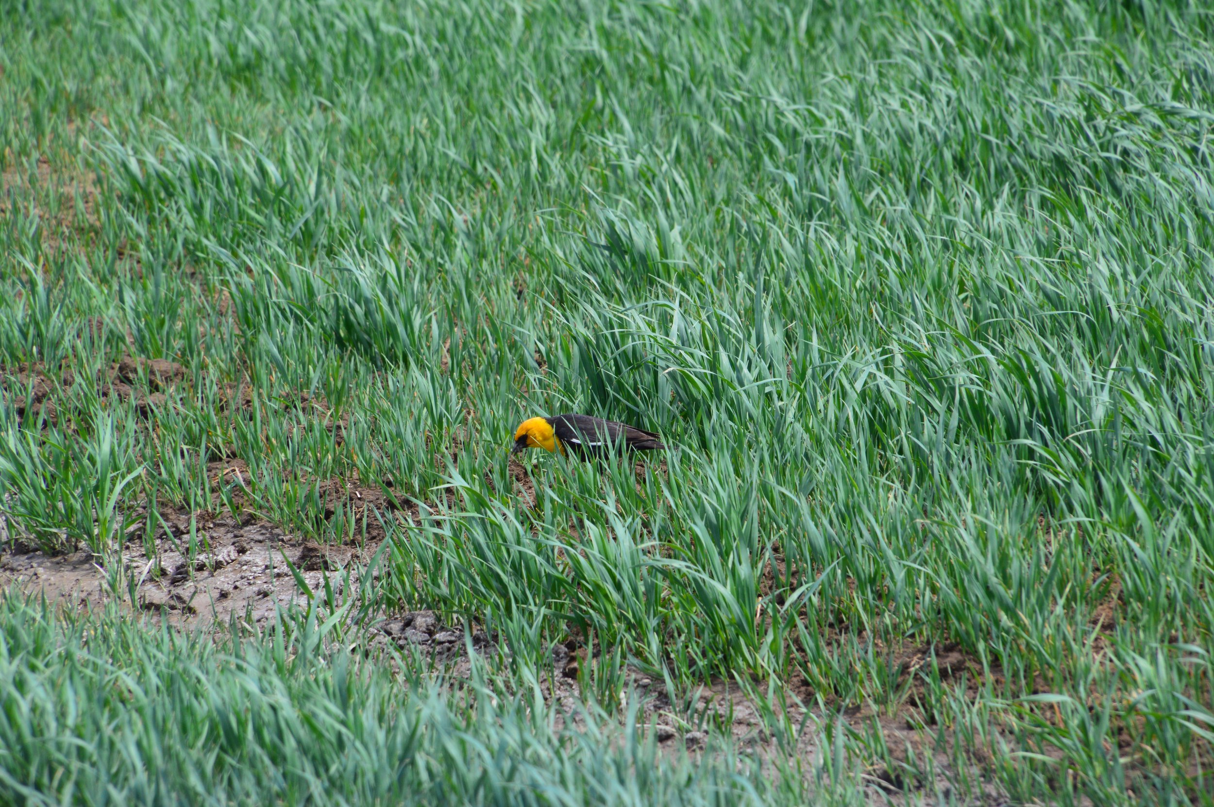 DSC_0073.JPG