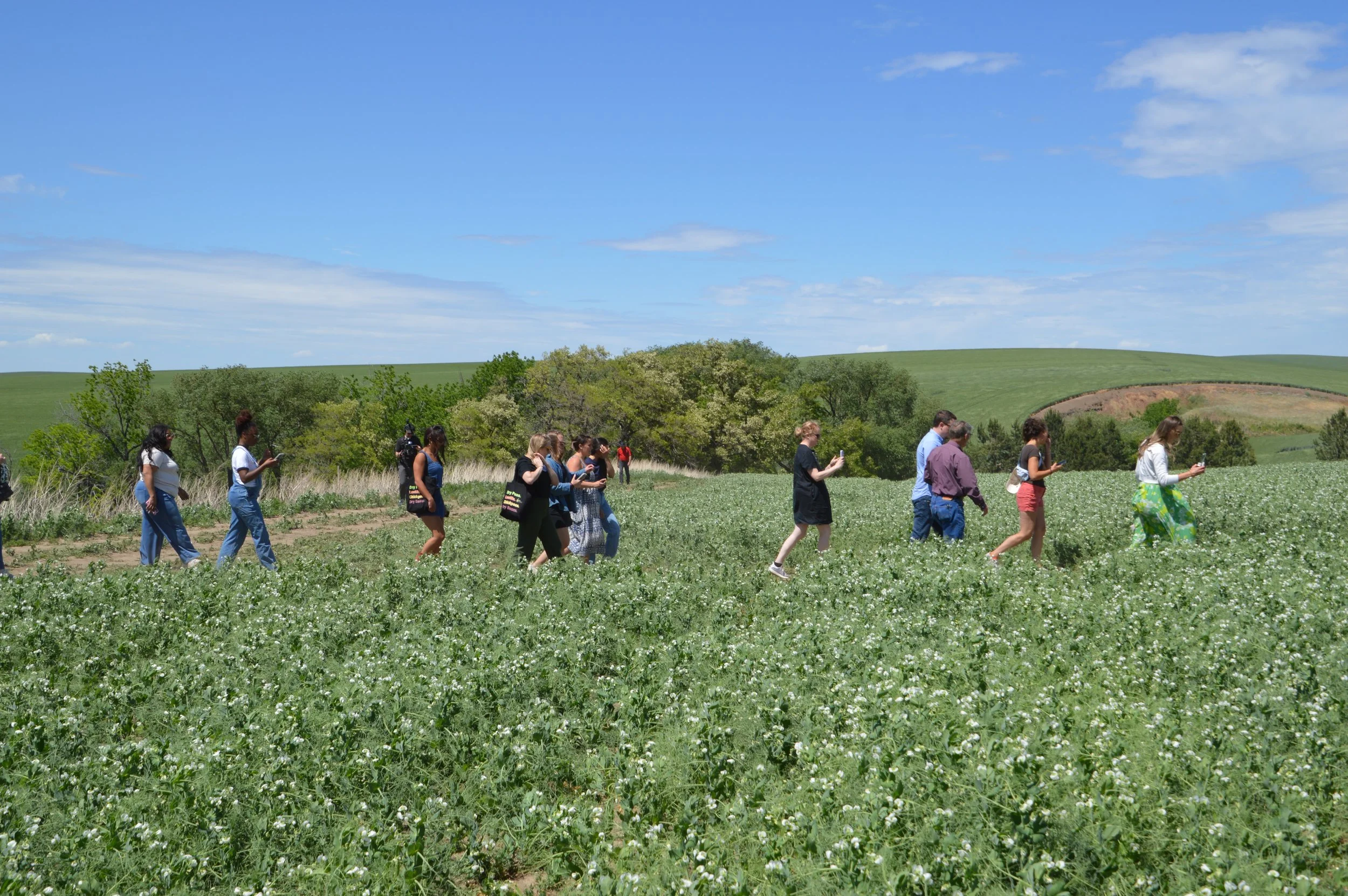 Walla Walla Pulses Tour