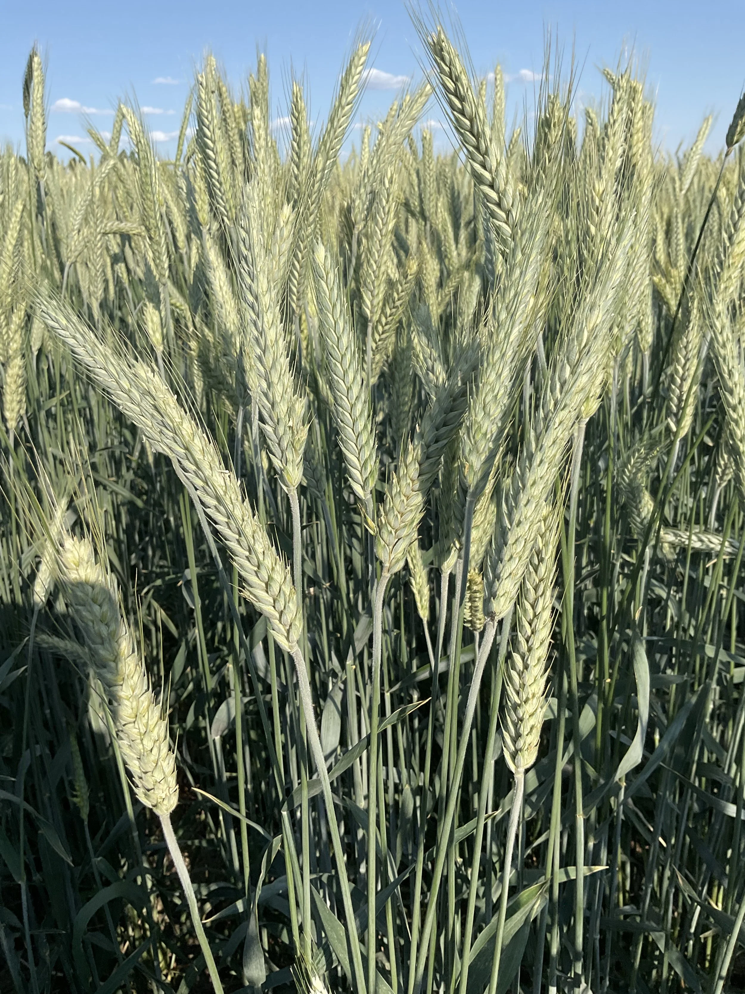 2023-06-22 18.07.41.jpg