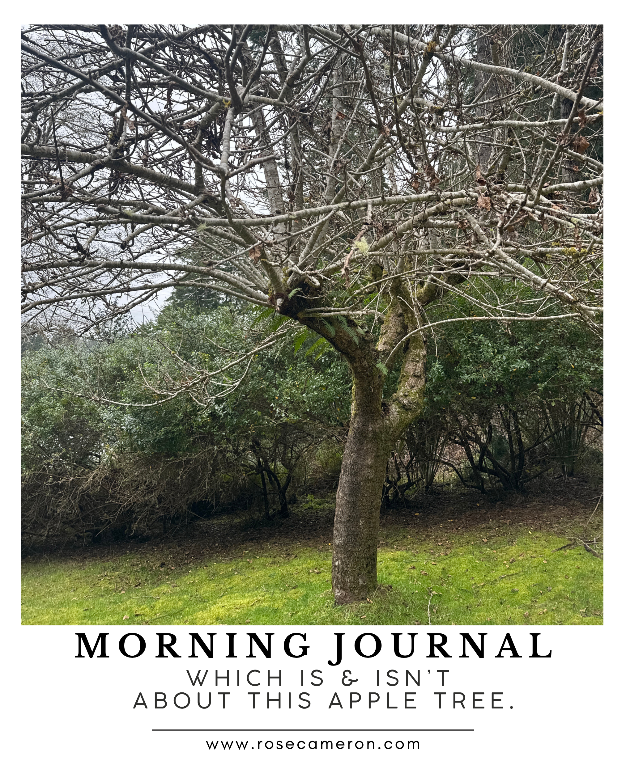 Journal: Spring equinox