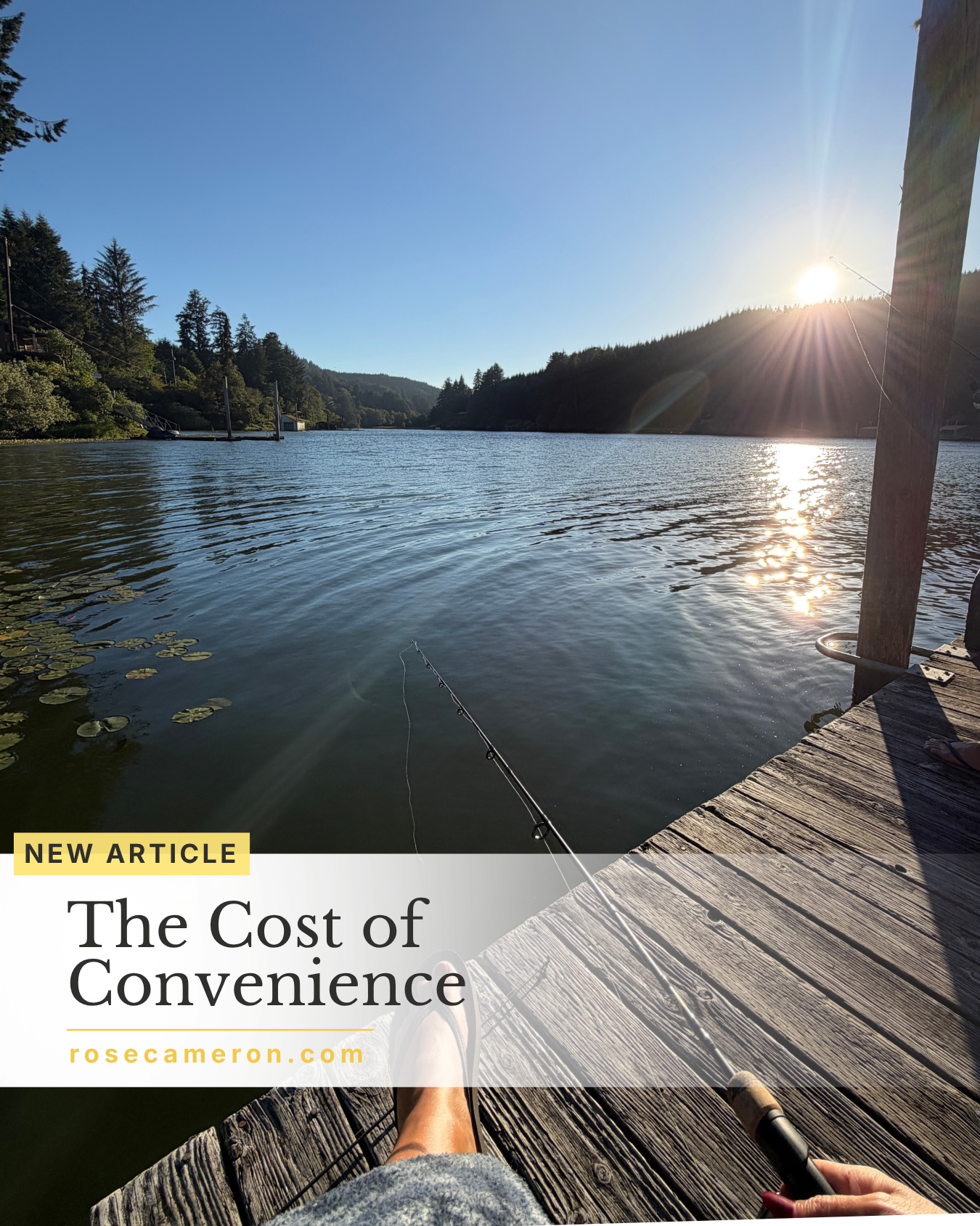 The Cost of Convenience