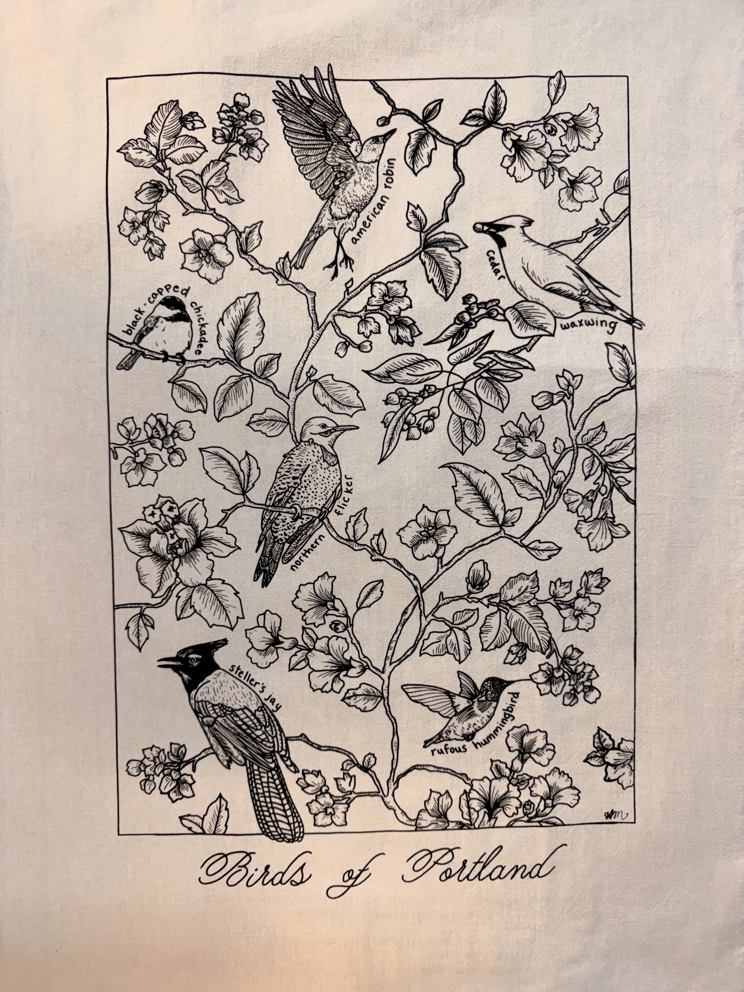 Birds of Portland