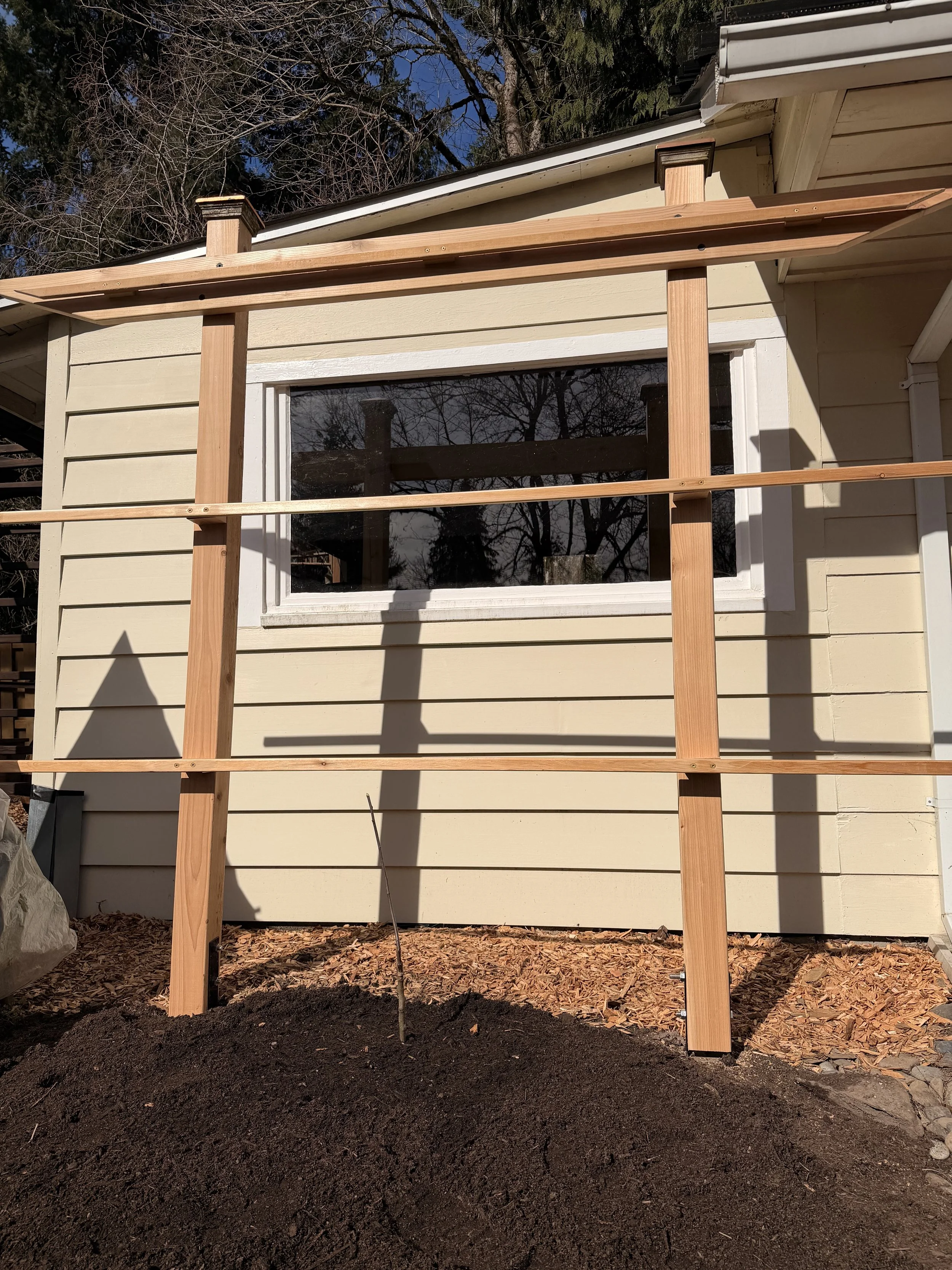 Trellis with Espalier Apple