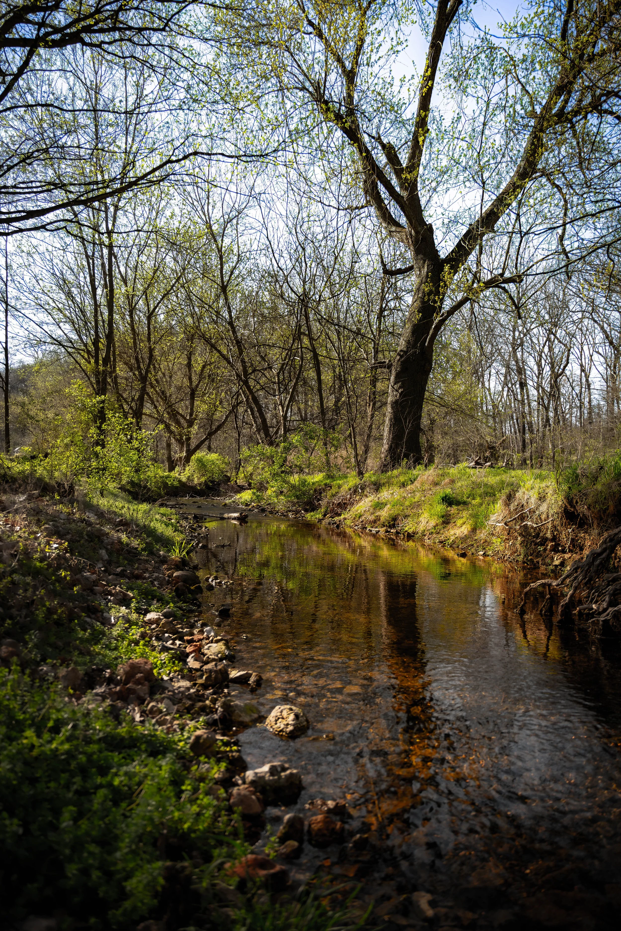 spring-creek-walk-springdale-arkansas.JPG