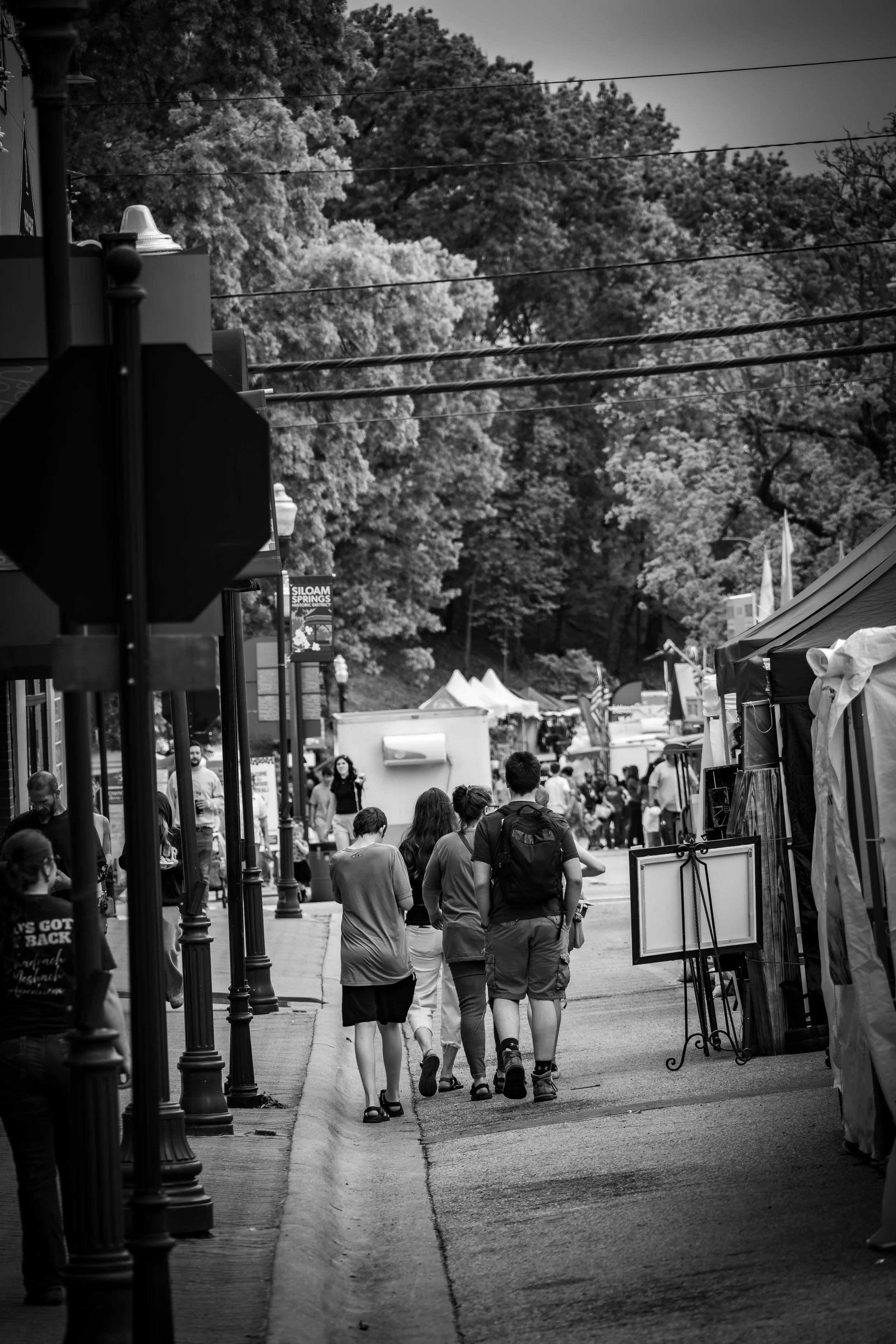 Crosswalk Through the Crowd.JPG
