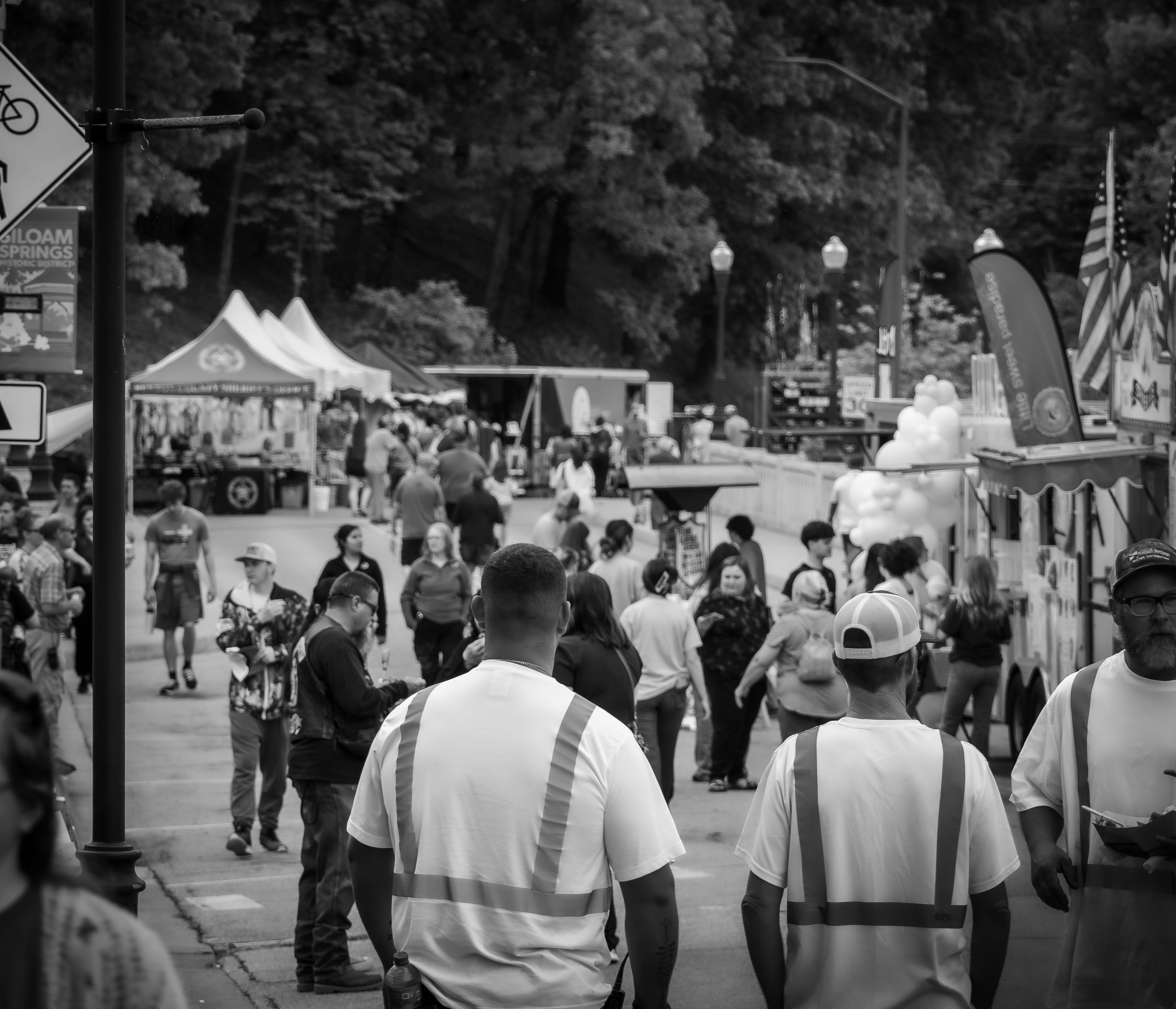 Festival Crowd in Motion.JPG