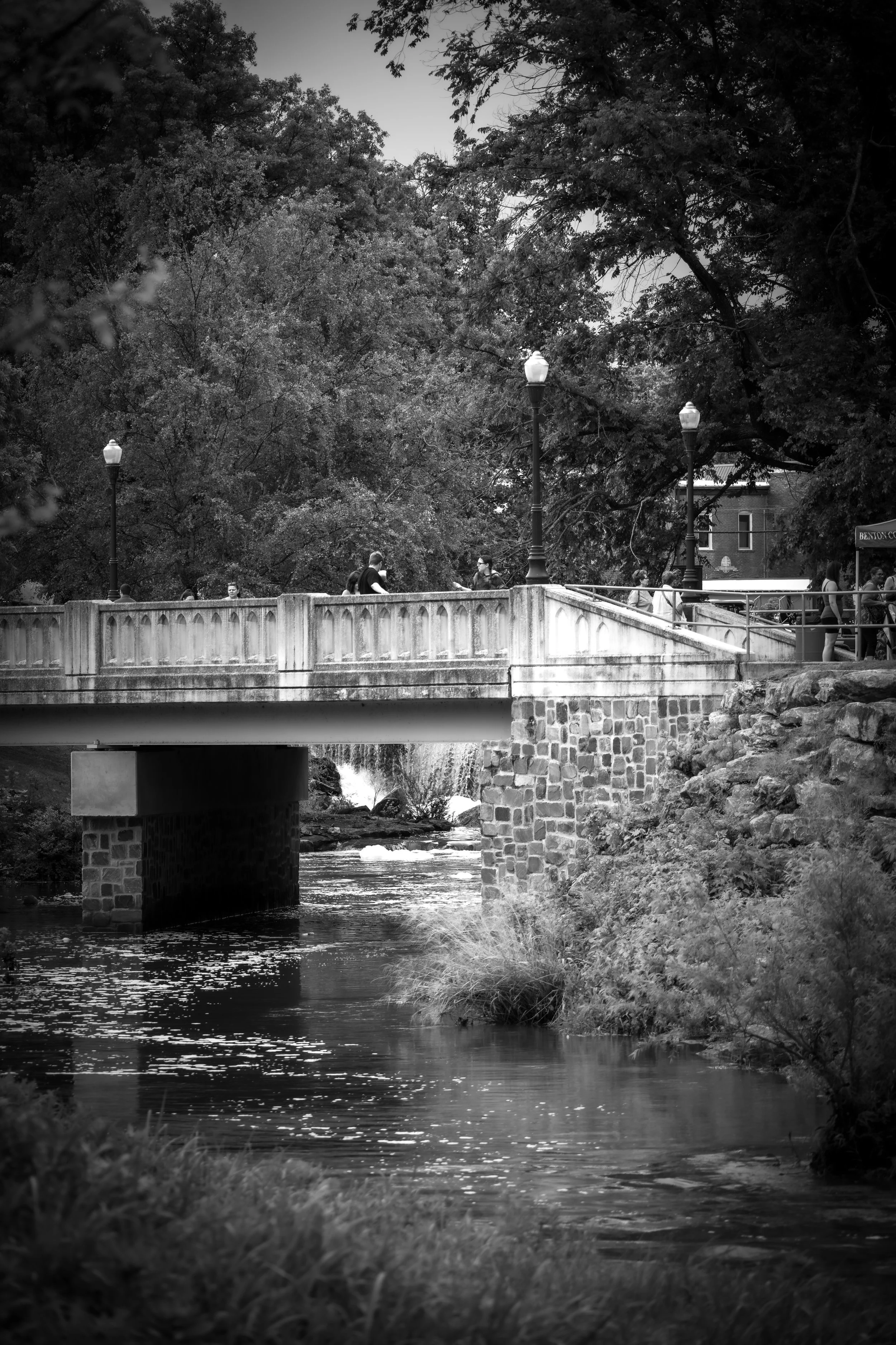 Reflections Along the Creek.JPG