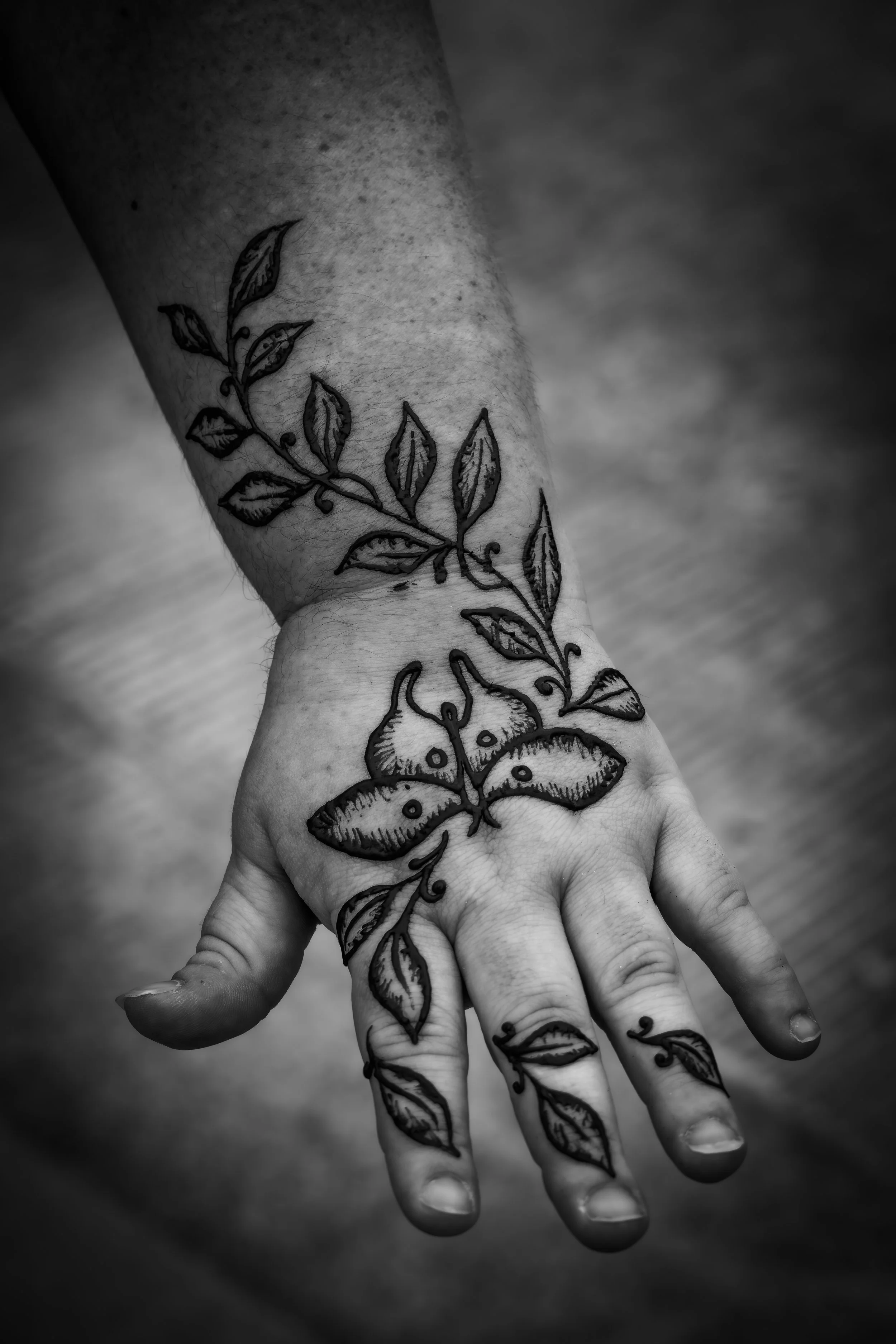 Wildflower Study – Close Detail.JPG