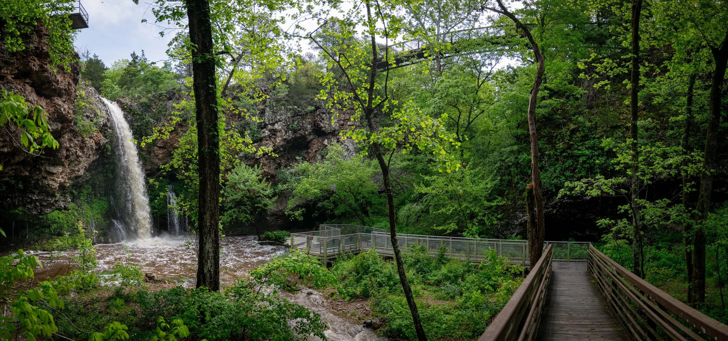 Wooden Bridge Through the Forest.JPG
