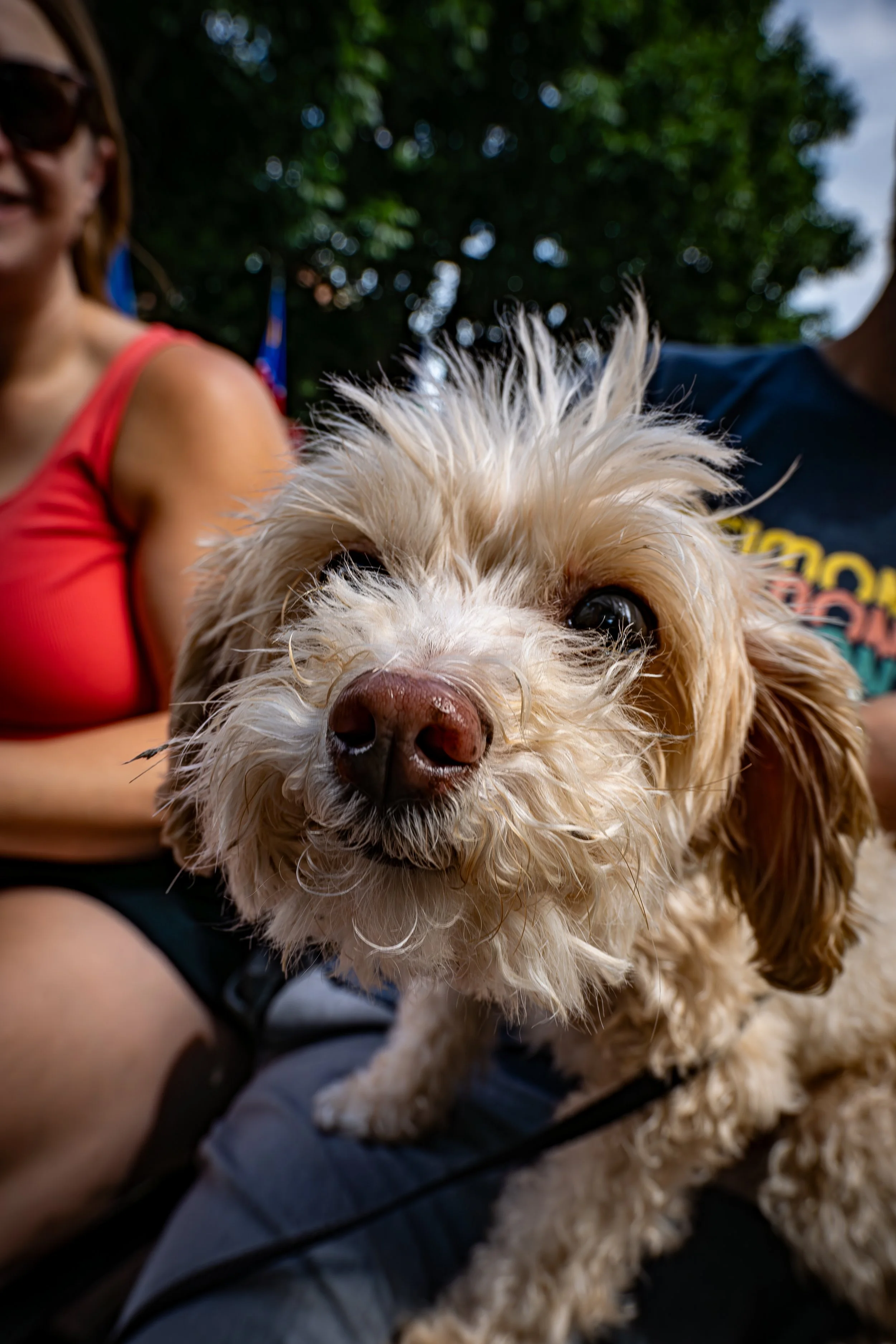 Small Market Companion