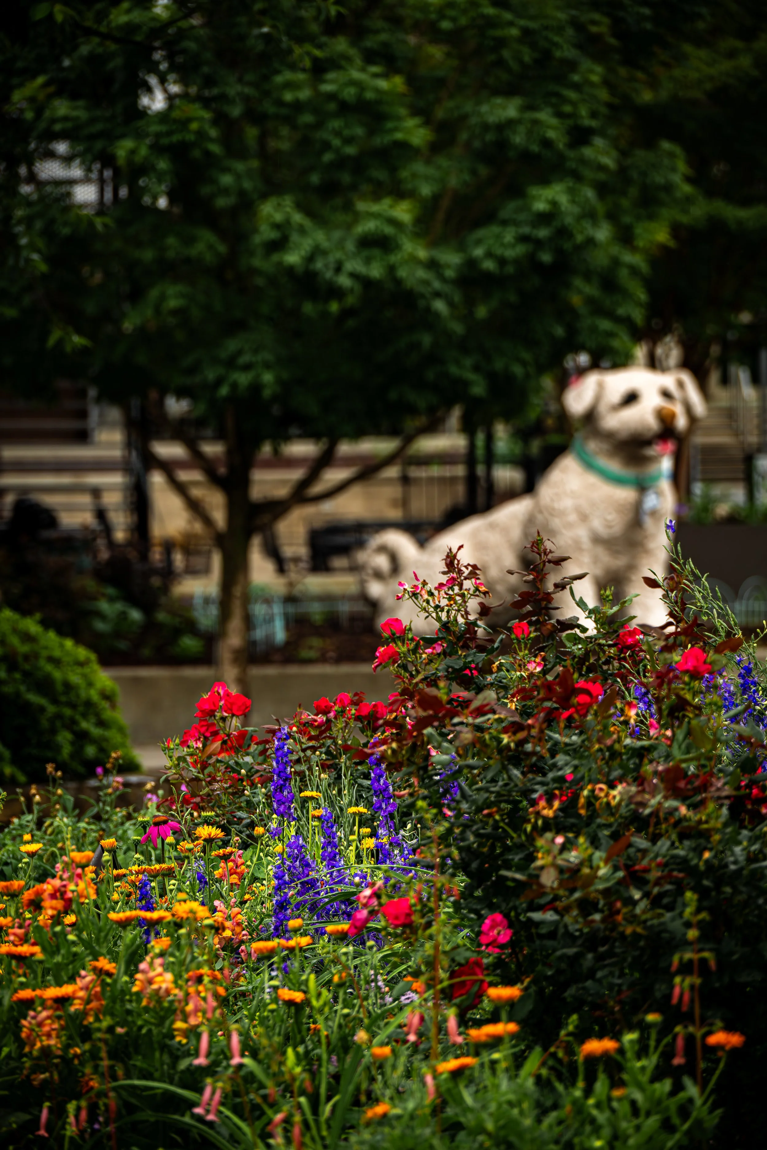 Dog  Statue Among the Flowers