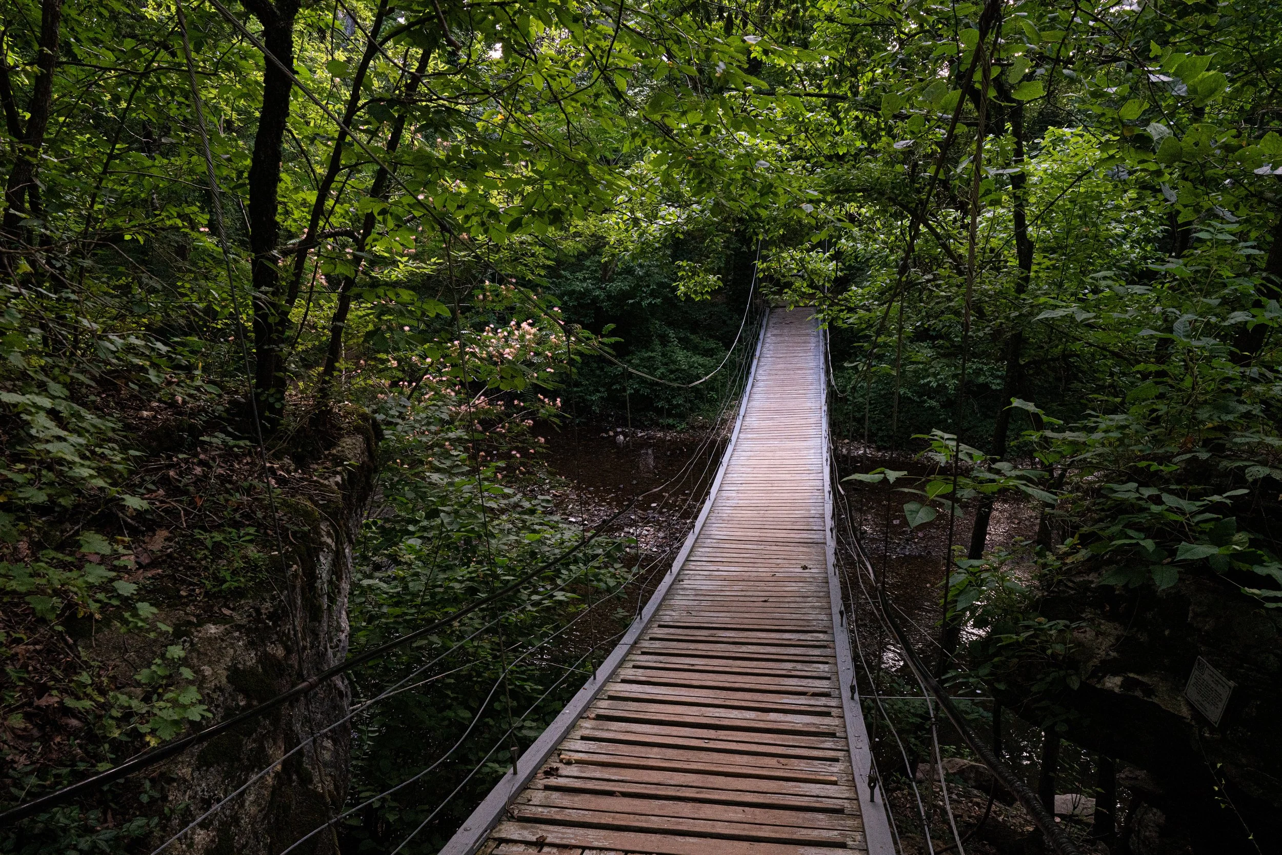 Wooden suspension bridge crossing a shaded creek surrounded by dense forest at Tanyard Creek in Bentonville, Arkansas.