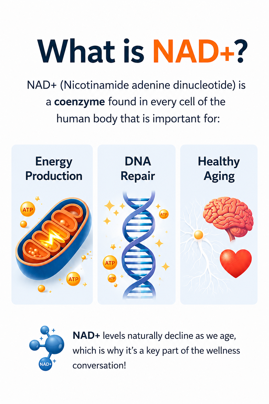 Cellular mitochondria energy production supported by NAD+ therapy