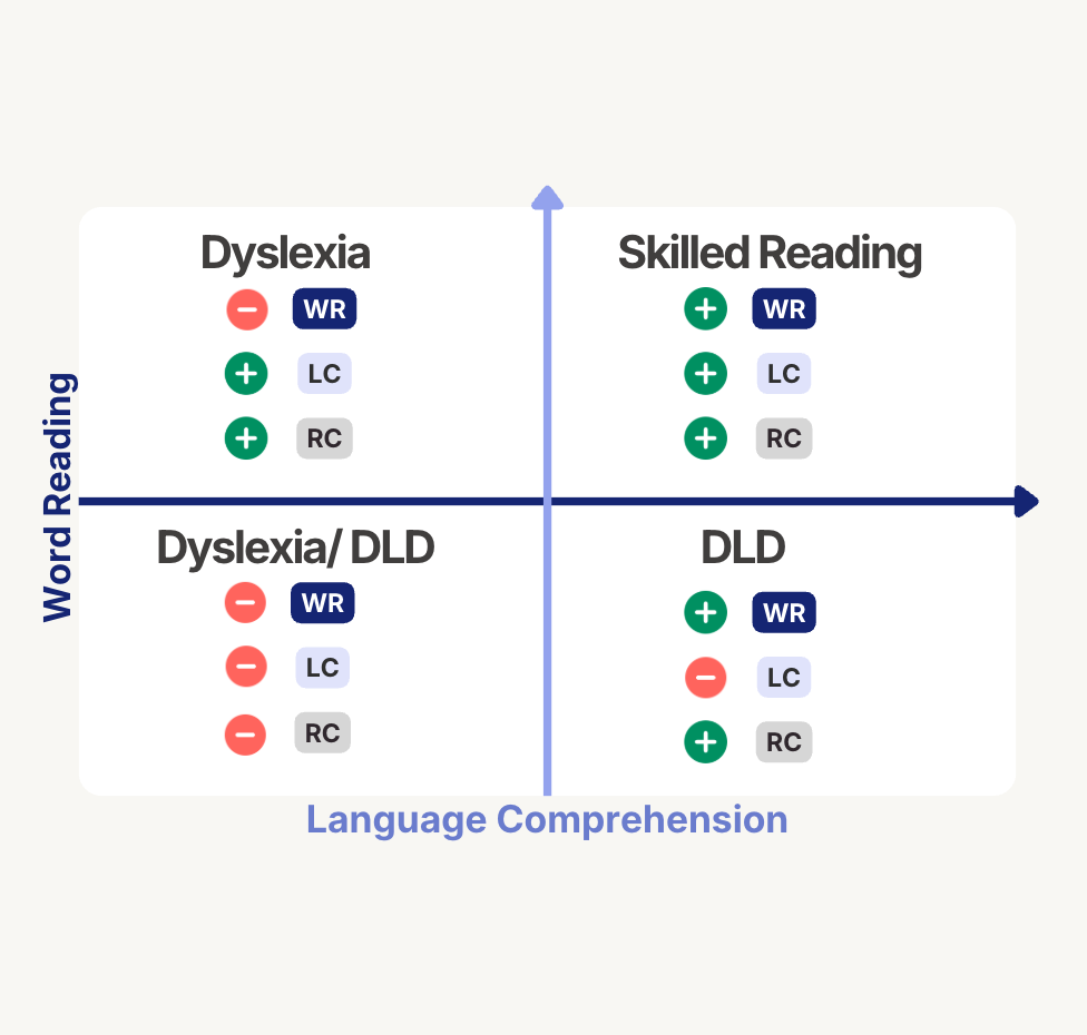 Beyond Dyslexia: Why Language Comprehension Matters for Reading