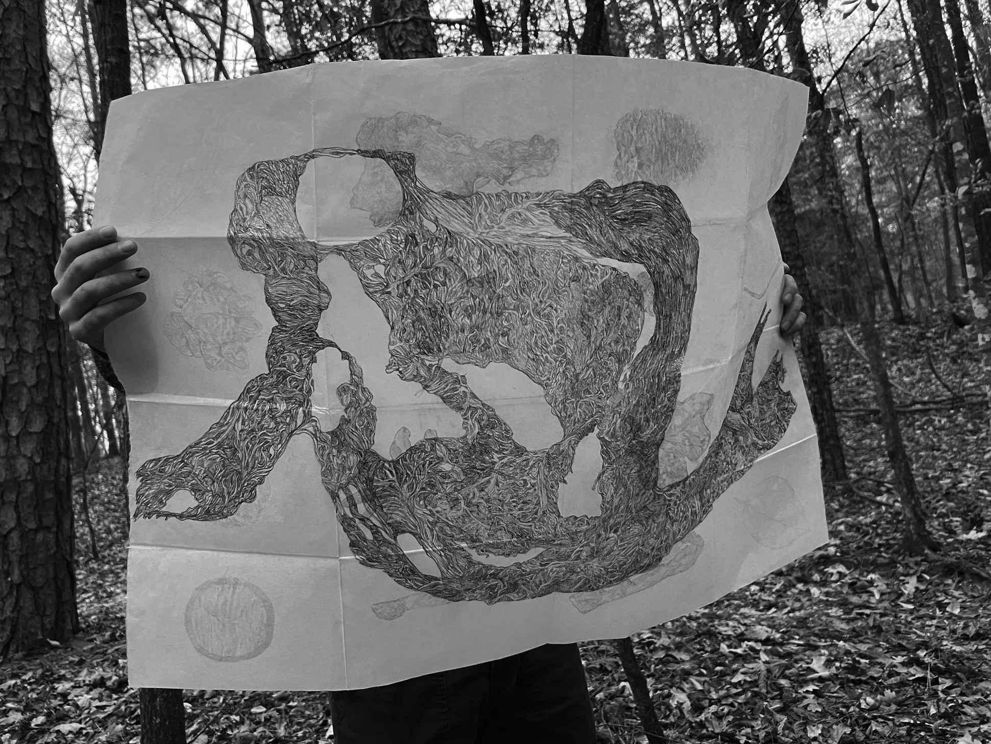   old hour of the evening , charcoal on paper, 37 × 25 in, 2024 