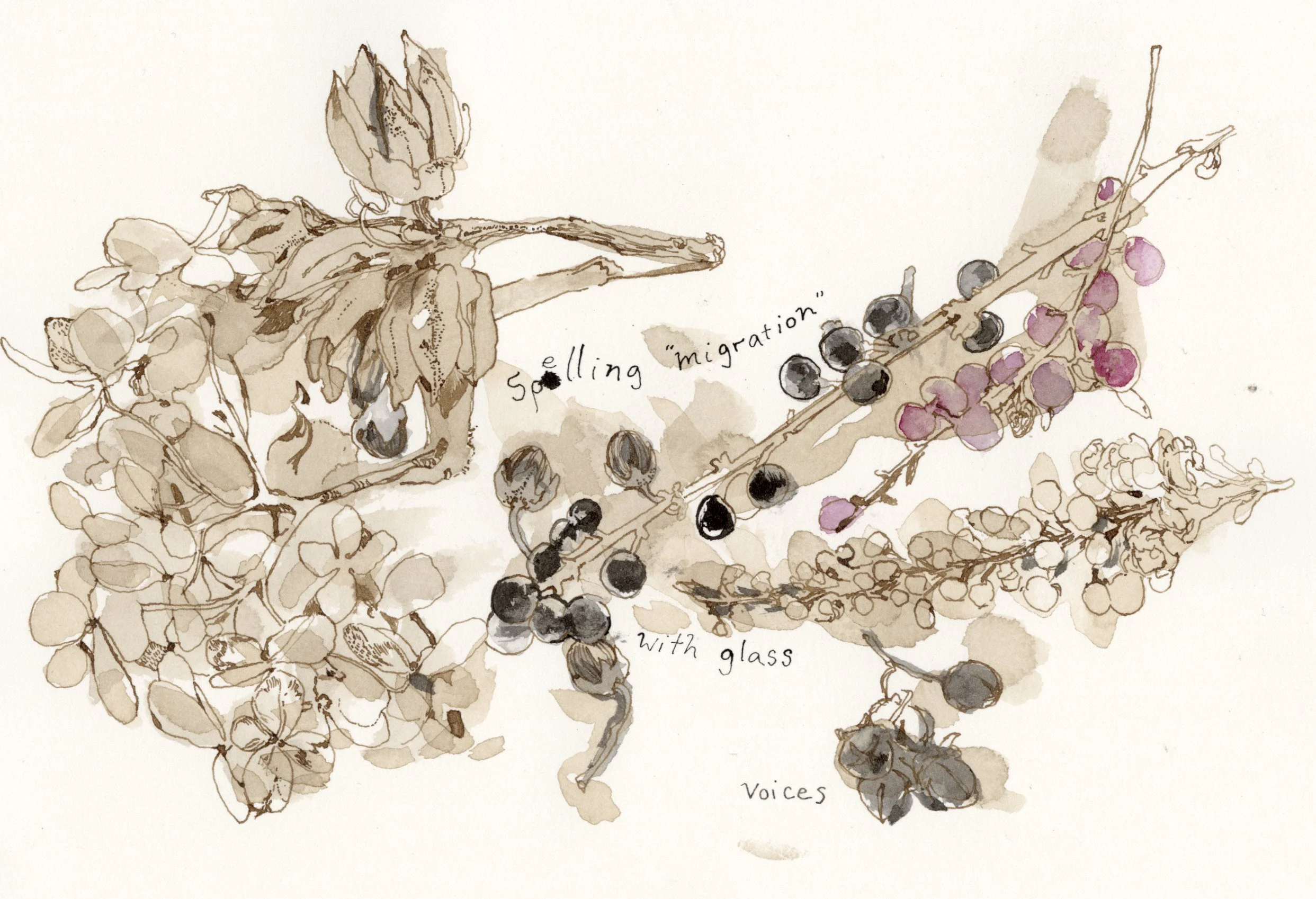   Spelling “migration ”, 2026, ink on paper, 8.5 x 6 in 