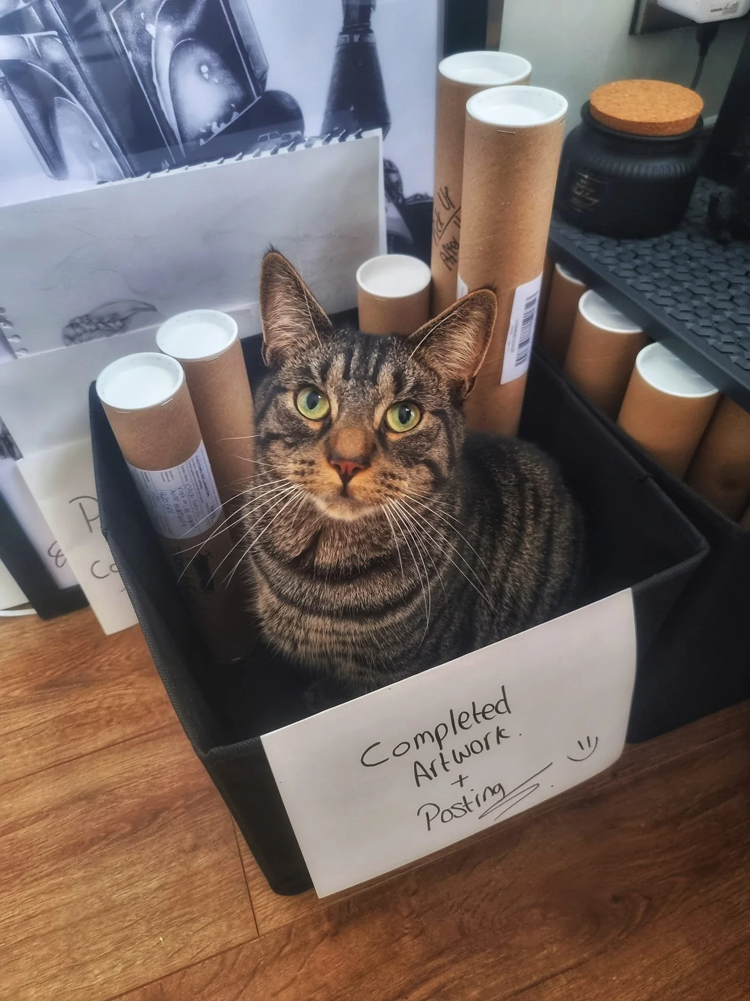 A tabby cat sitting inside a black box labeled 'Completed Artwork + Posting' on a wooden surface, surrounded by cardboard tubes and office supplies.
