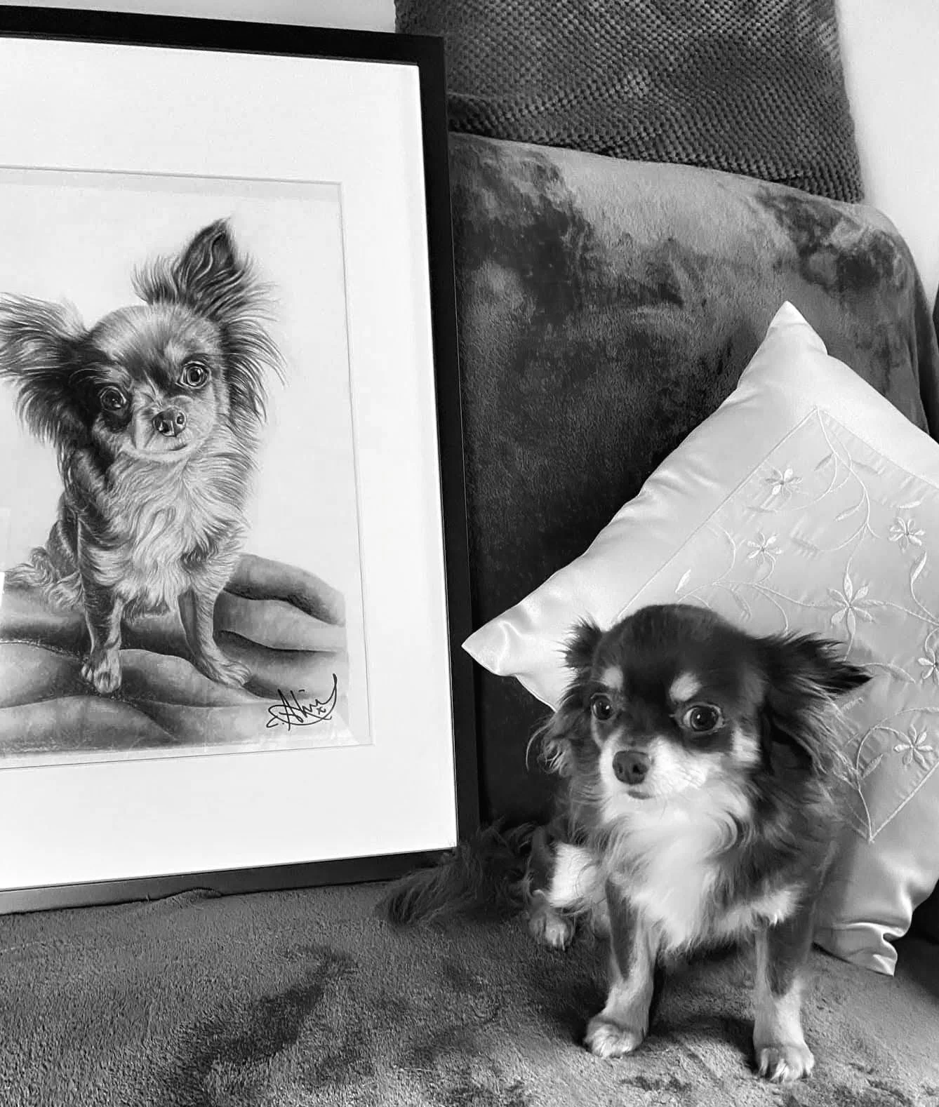 A small dog sitting on a cushioned surface next to a pillow and a framed portrait of a different dog.