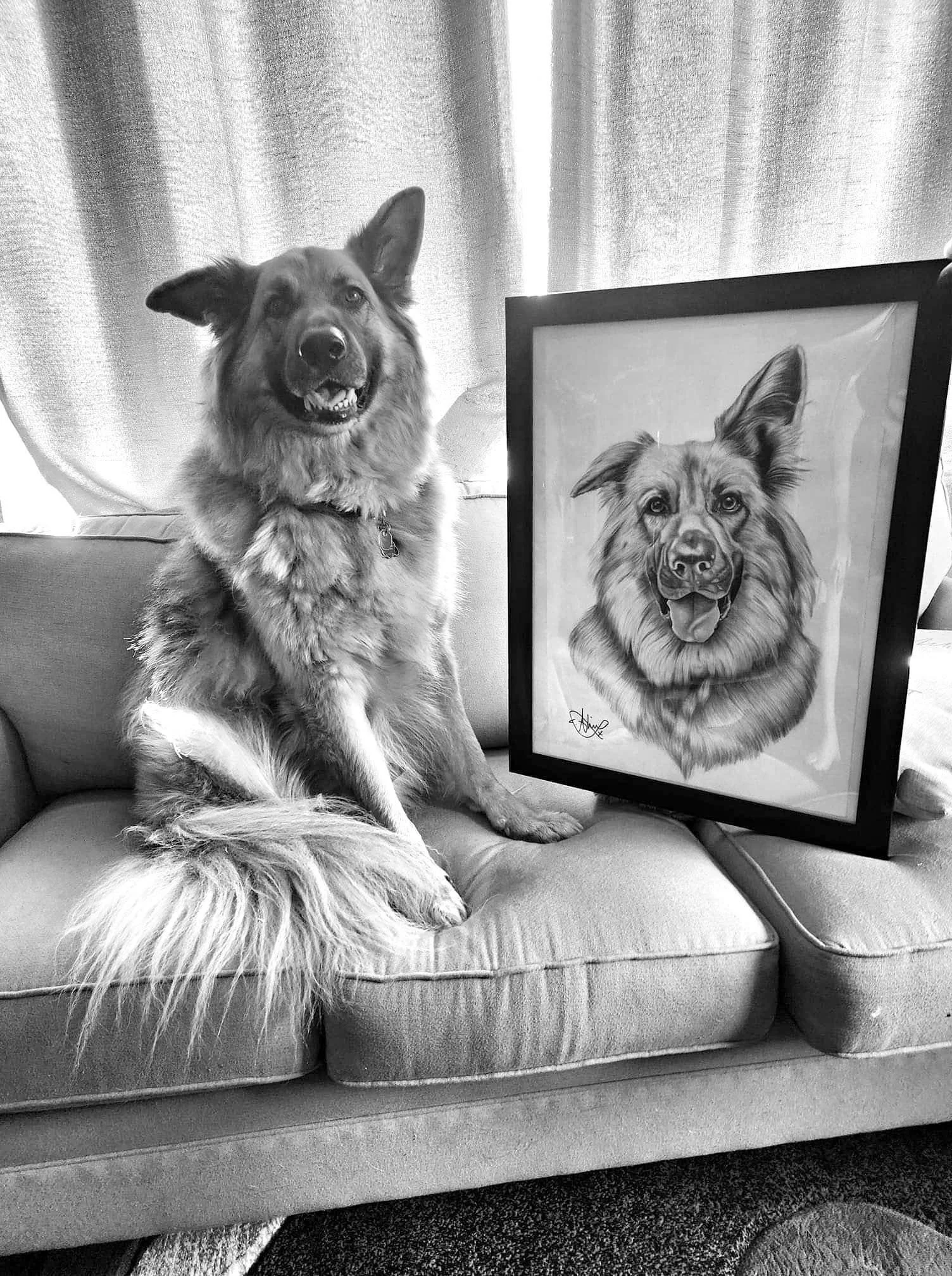 A dog sitting on a couch next to an framed portrait of a dog, both resembling each other.