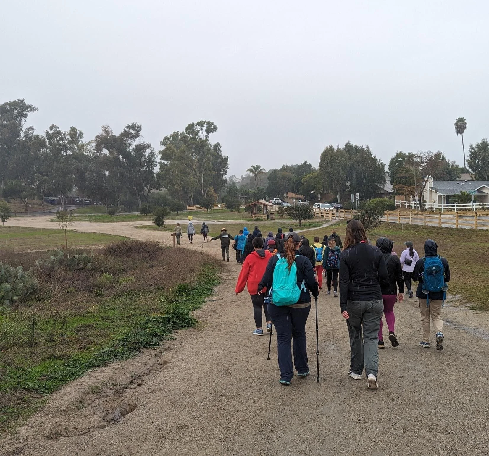 Community Engagement & Volunteer Programs