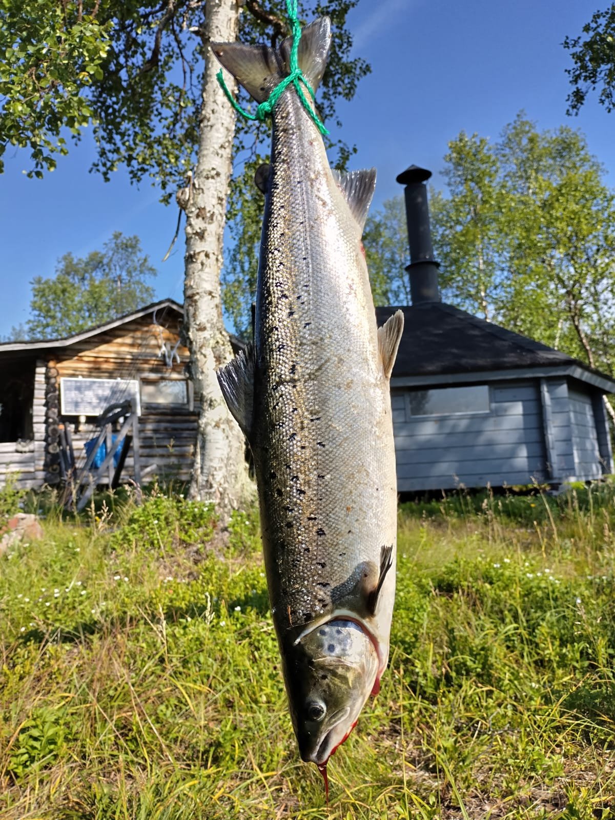 Kalastus-Sevettijärvi-Inari-Sevettijärven-Erä-Ja-kalastus (2).jpg