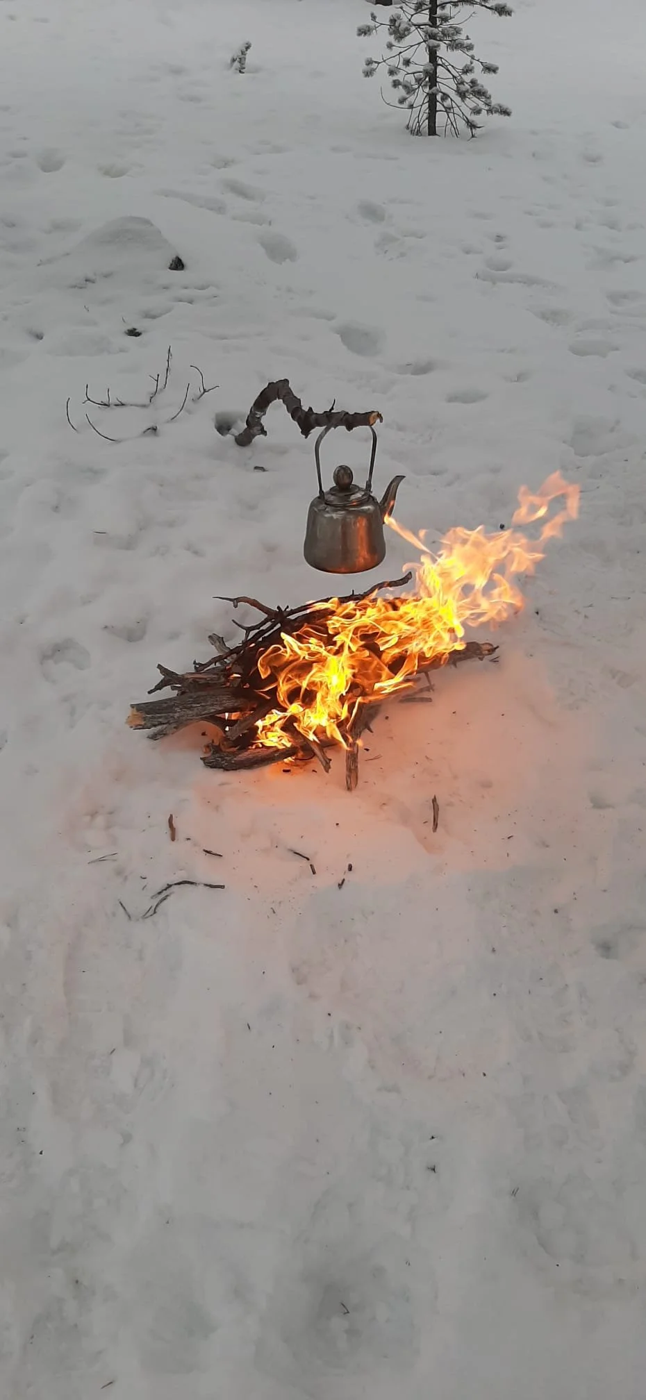 WhatsApp-Kuva 2025-02-16 klo 14.51.49_ba8ad78b.jpg