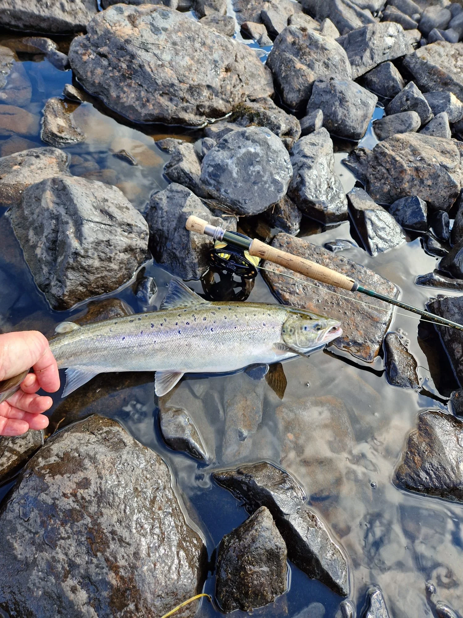 Kalastus-Sevettijärvi-Inari-Sevettijärven-Erä-Ja-kalastus (3).jpg