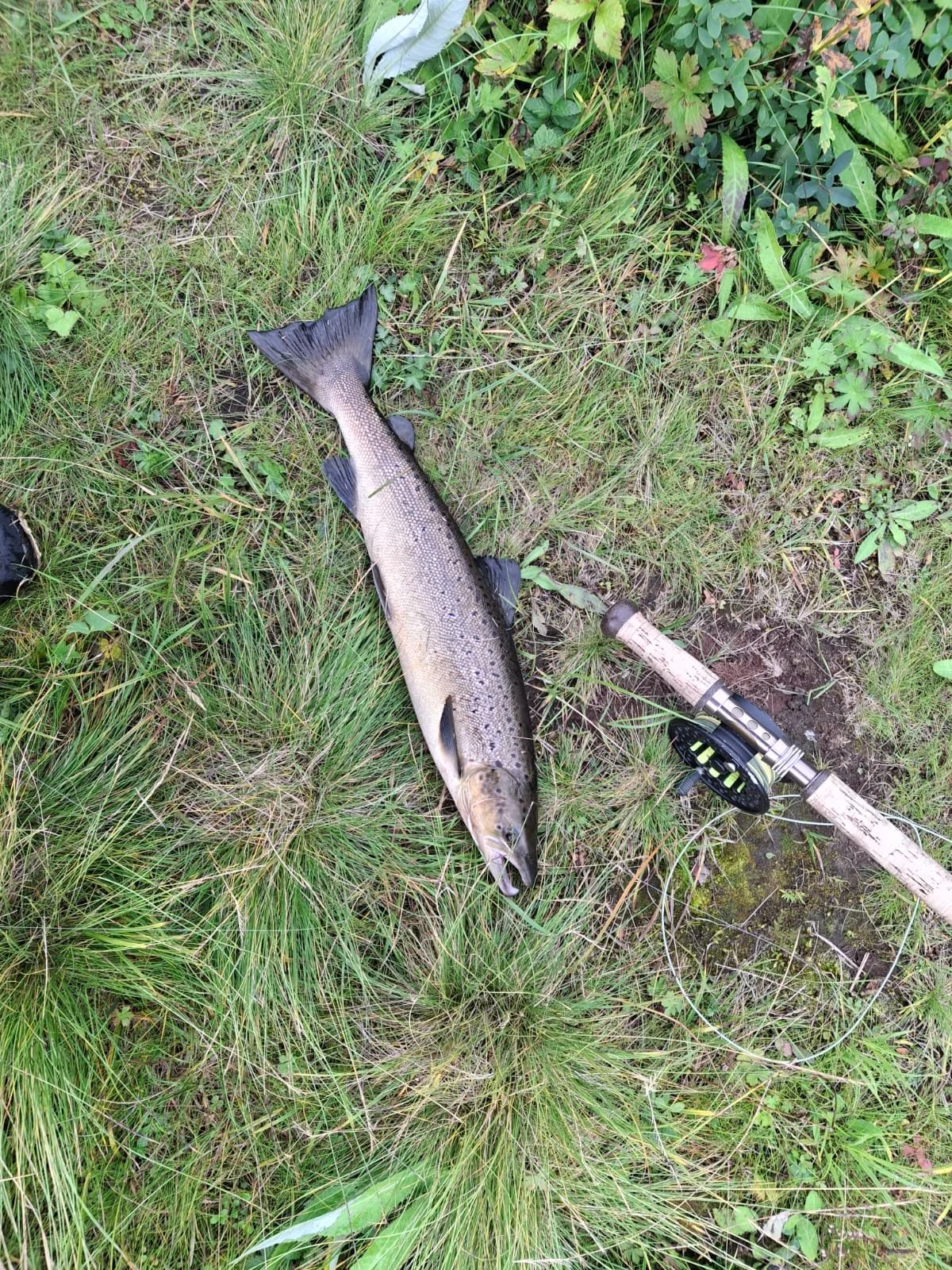 Kalastus-Sevettijärvi-Inari-Sevettijärven-Erä-Ja-kalastus (4).jpg