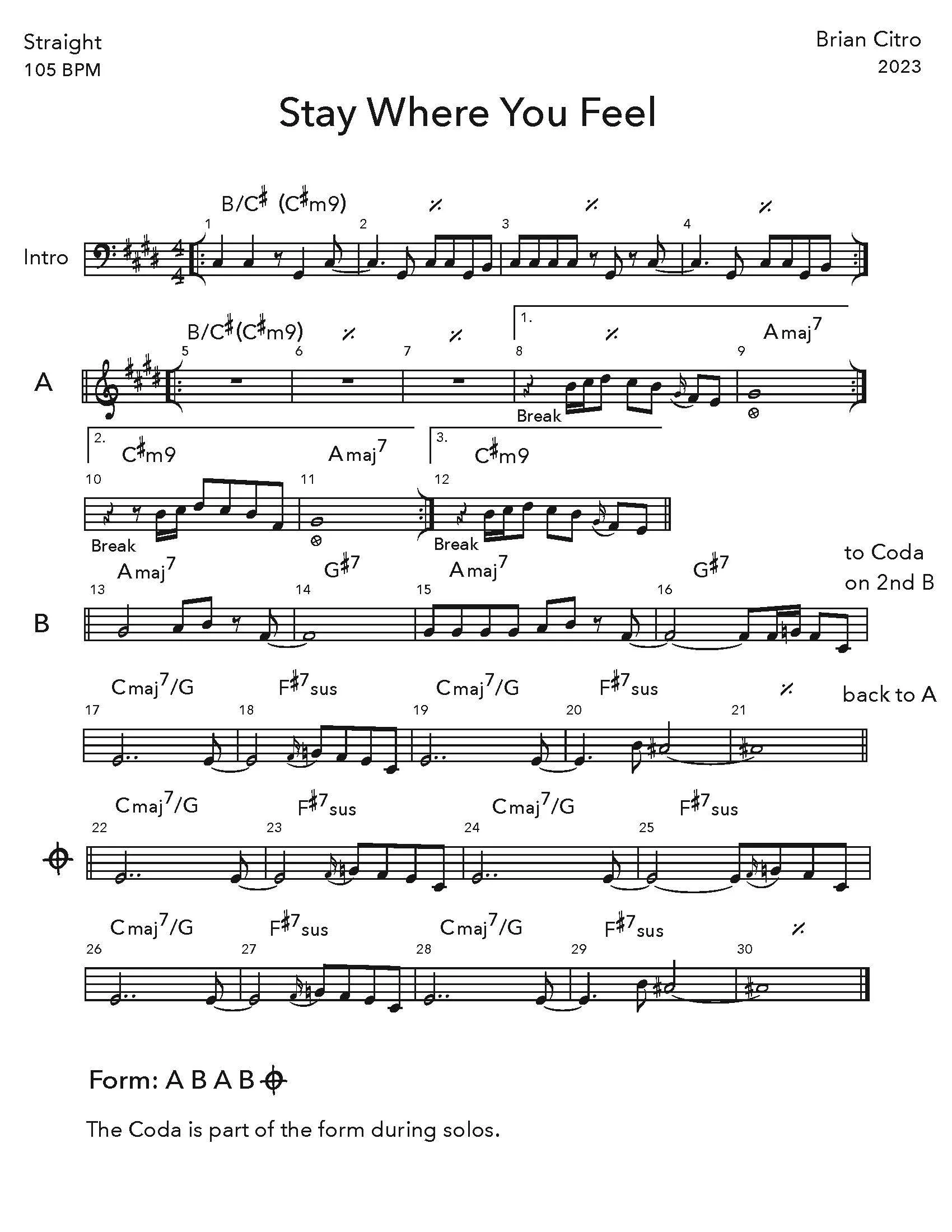 Brian Citro's composition Stay Where You Feel