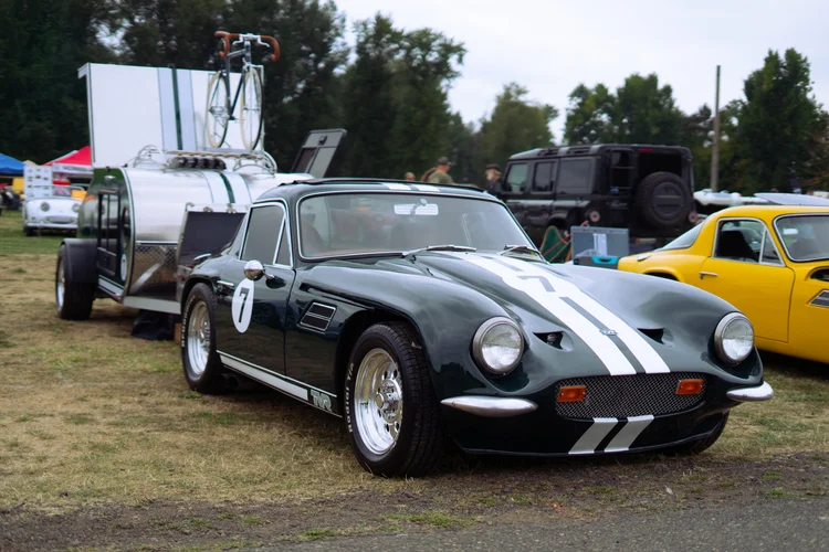 TVR Vixen detail