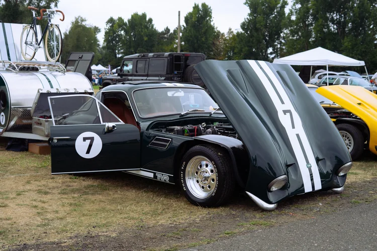 TVR Vixen detail