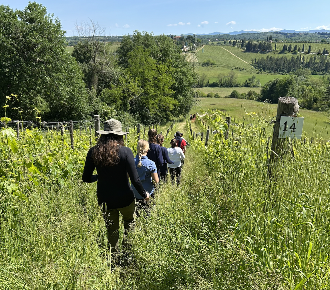 Two dark glass bottles with cork stoppers placed on a wooden barrel outdoors, with green foliage and a cloudy sky in the background.