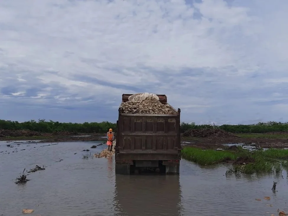Trabajos de movimiento de tierras en el proyecto La Pimienta en Campeche incluyendo construcción de caminos sobre zonas inundables, instalación de alcantarillas, conformación de terracerías y nivelación de plataformas para parque solar.
