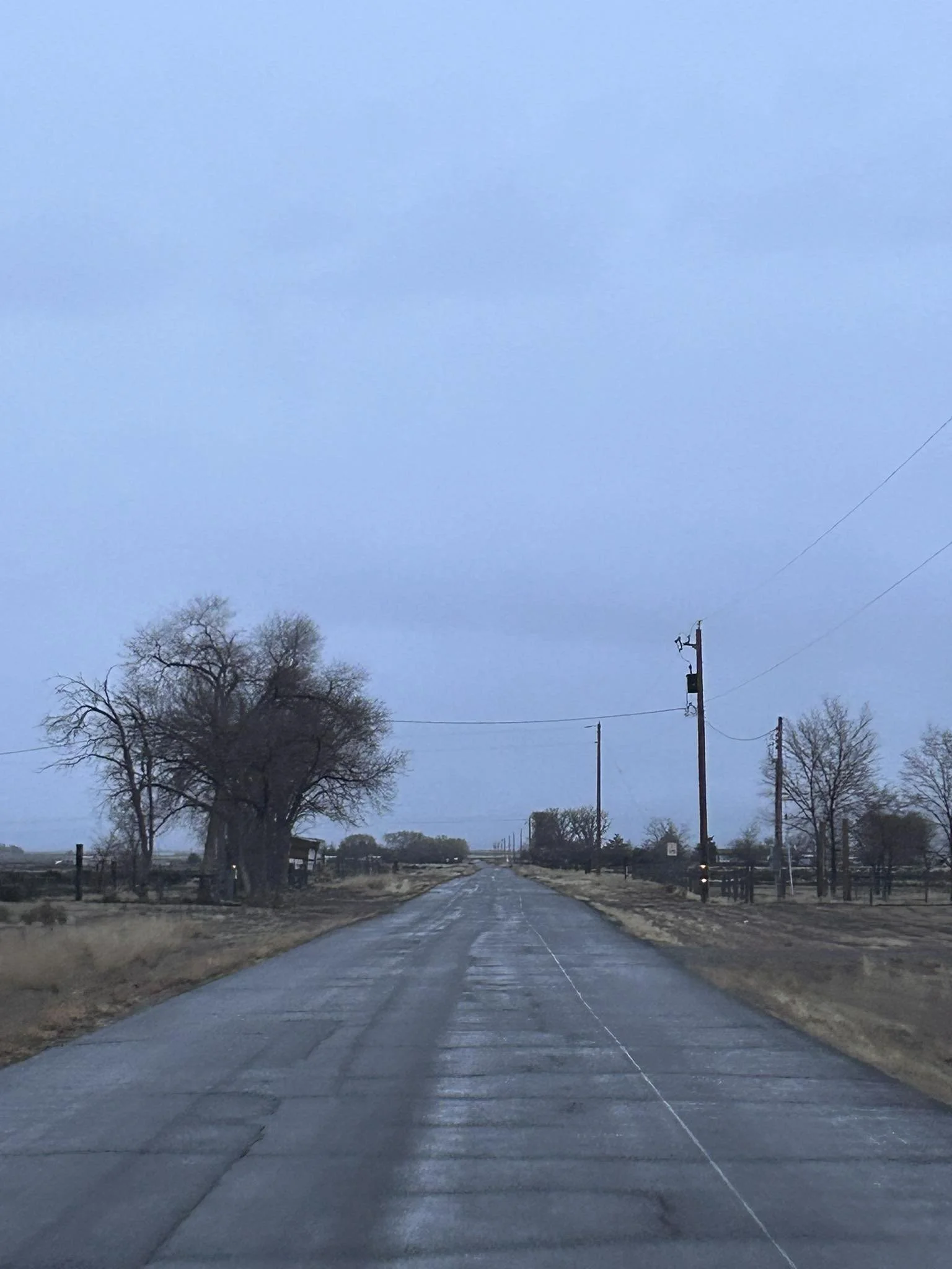 An empty rural road stretching forward under a pale sky, the pavement darkened by recent moisture.
