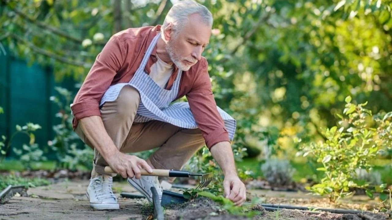 What Are the Health Benefits of Gardening for Seniors?