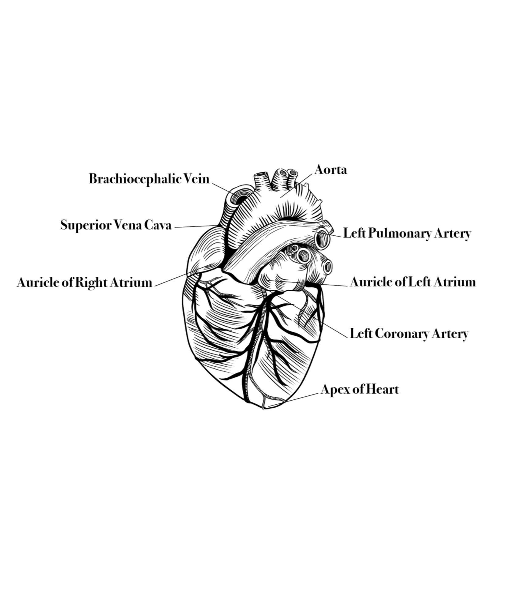 Fig 6. Southwest