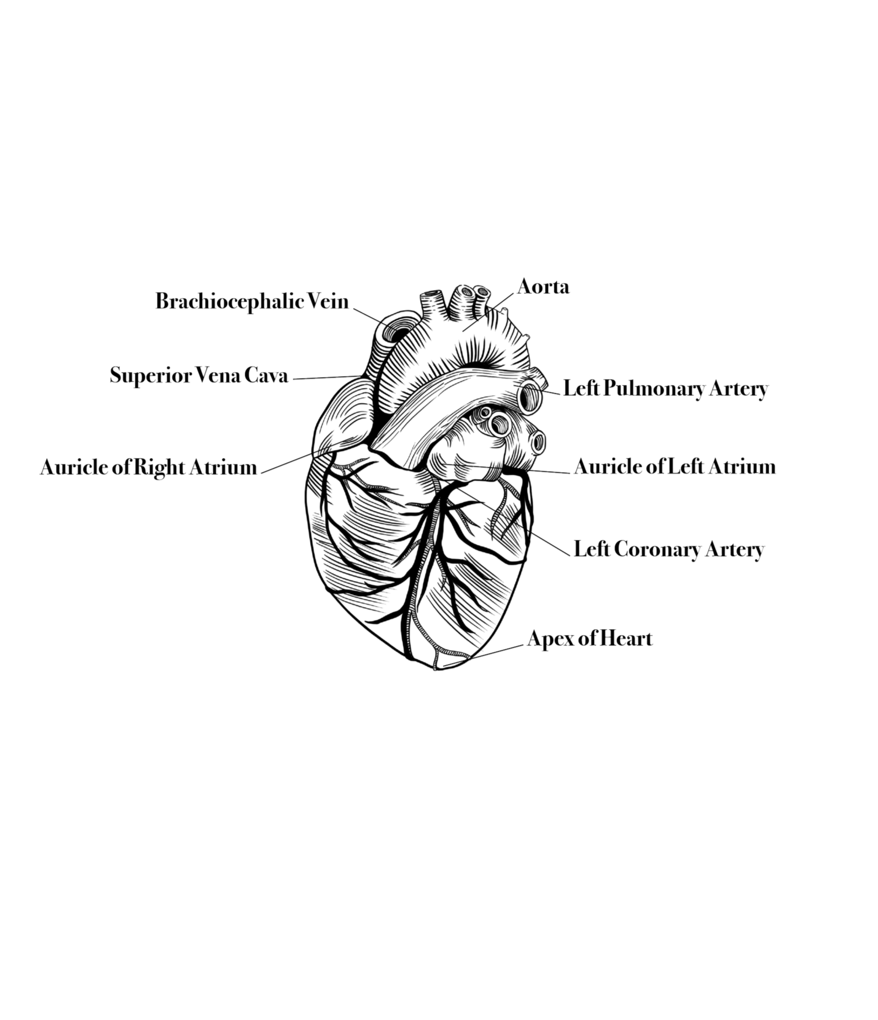 Fig 6. Southwest