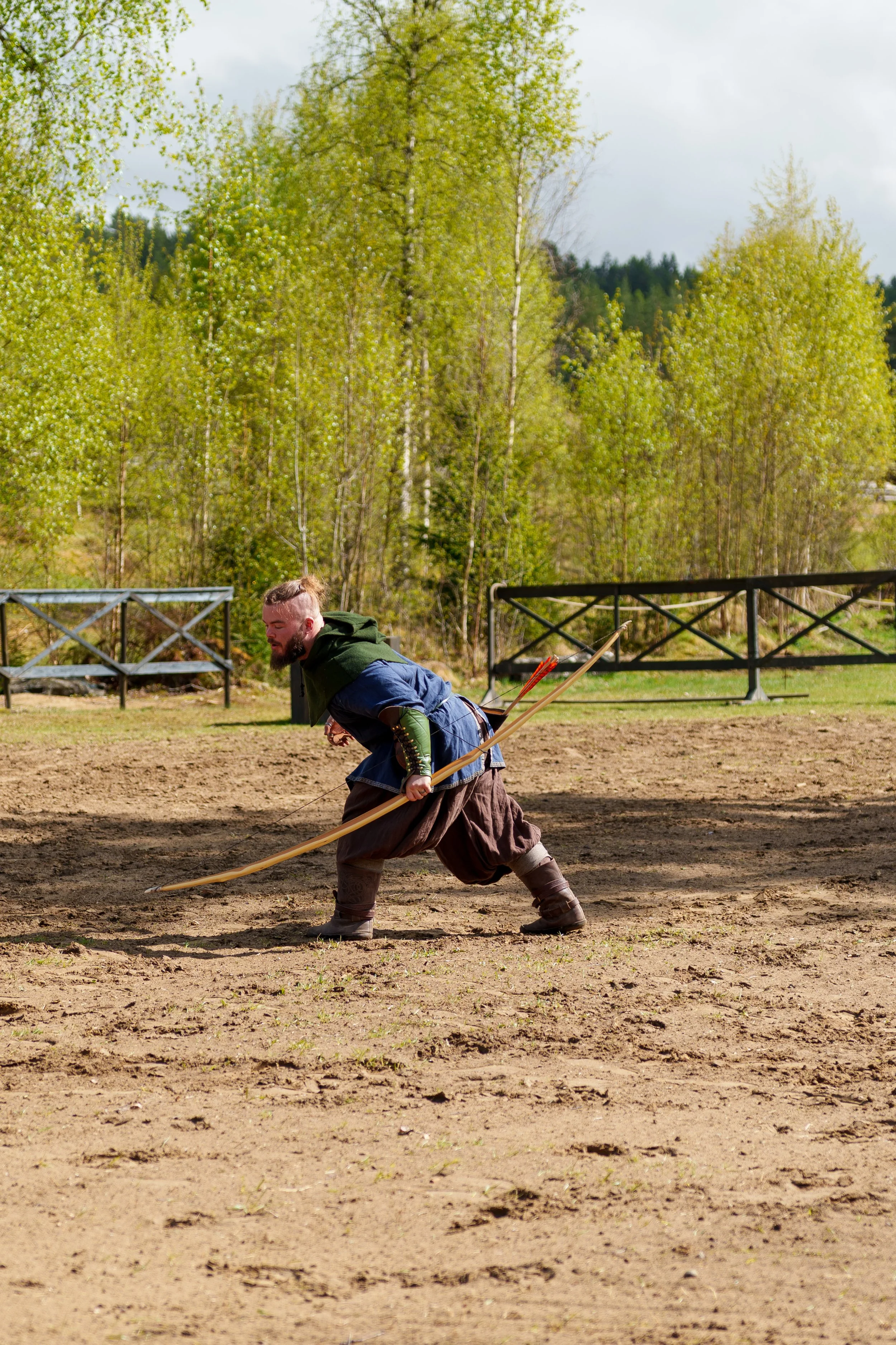Bueshow, 138lb bue, oppvisning.jpg